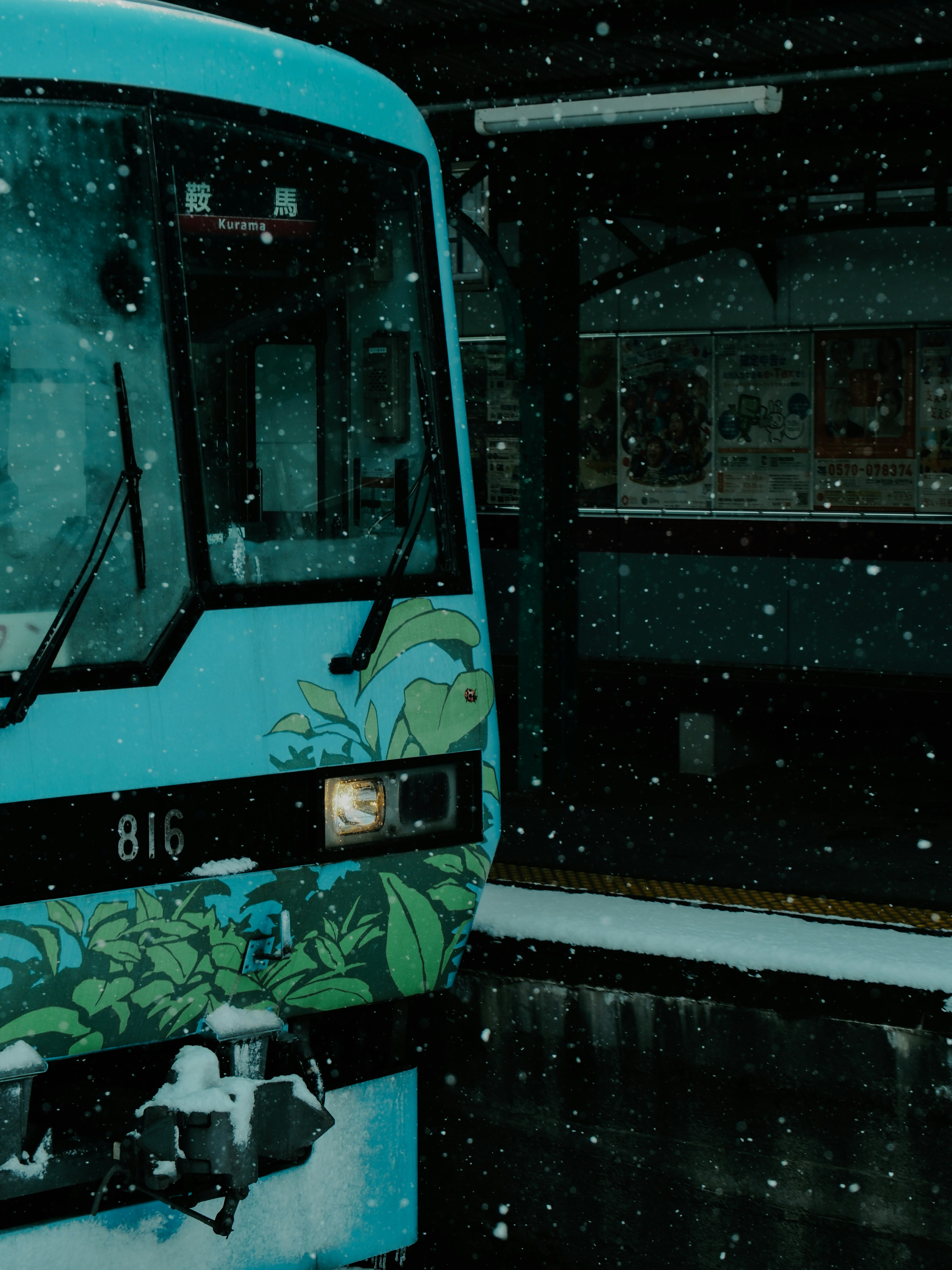 Front view of a blue bus with plant design in the snow