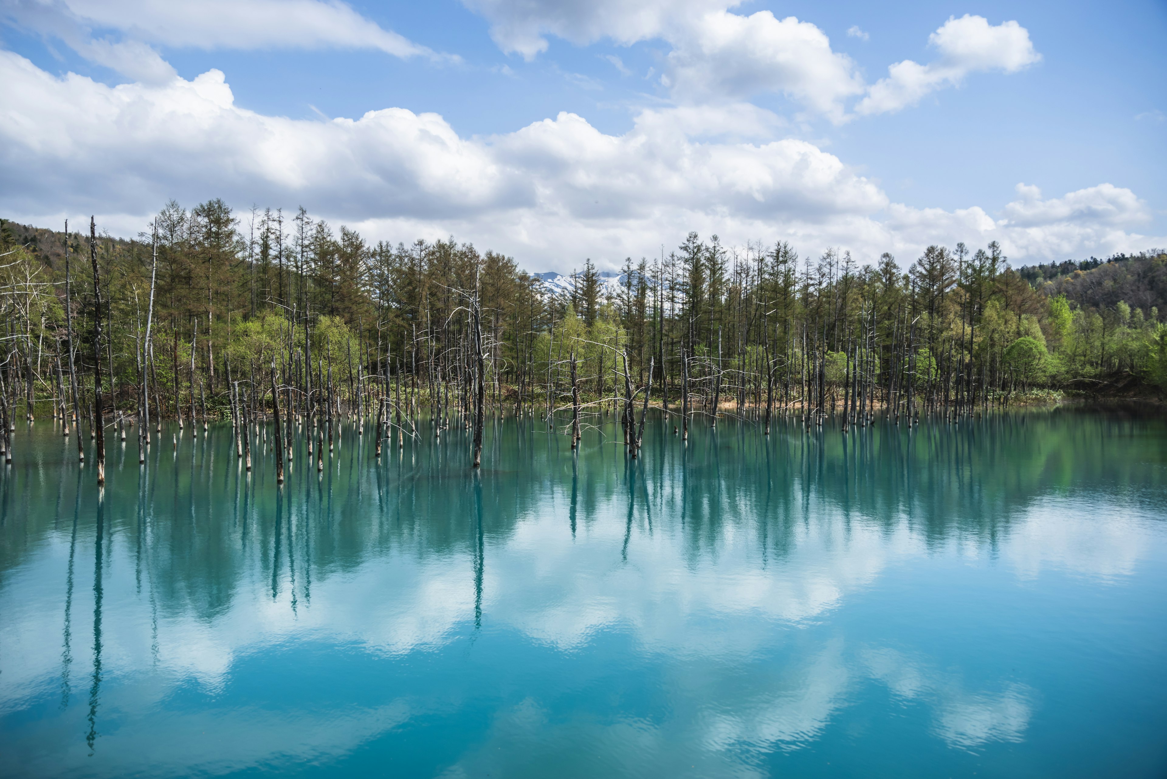 Pemandangan indah danau biru dengan pantulan pohon mati dan langit berawan