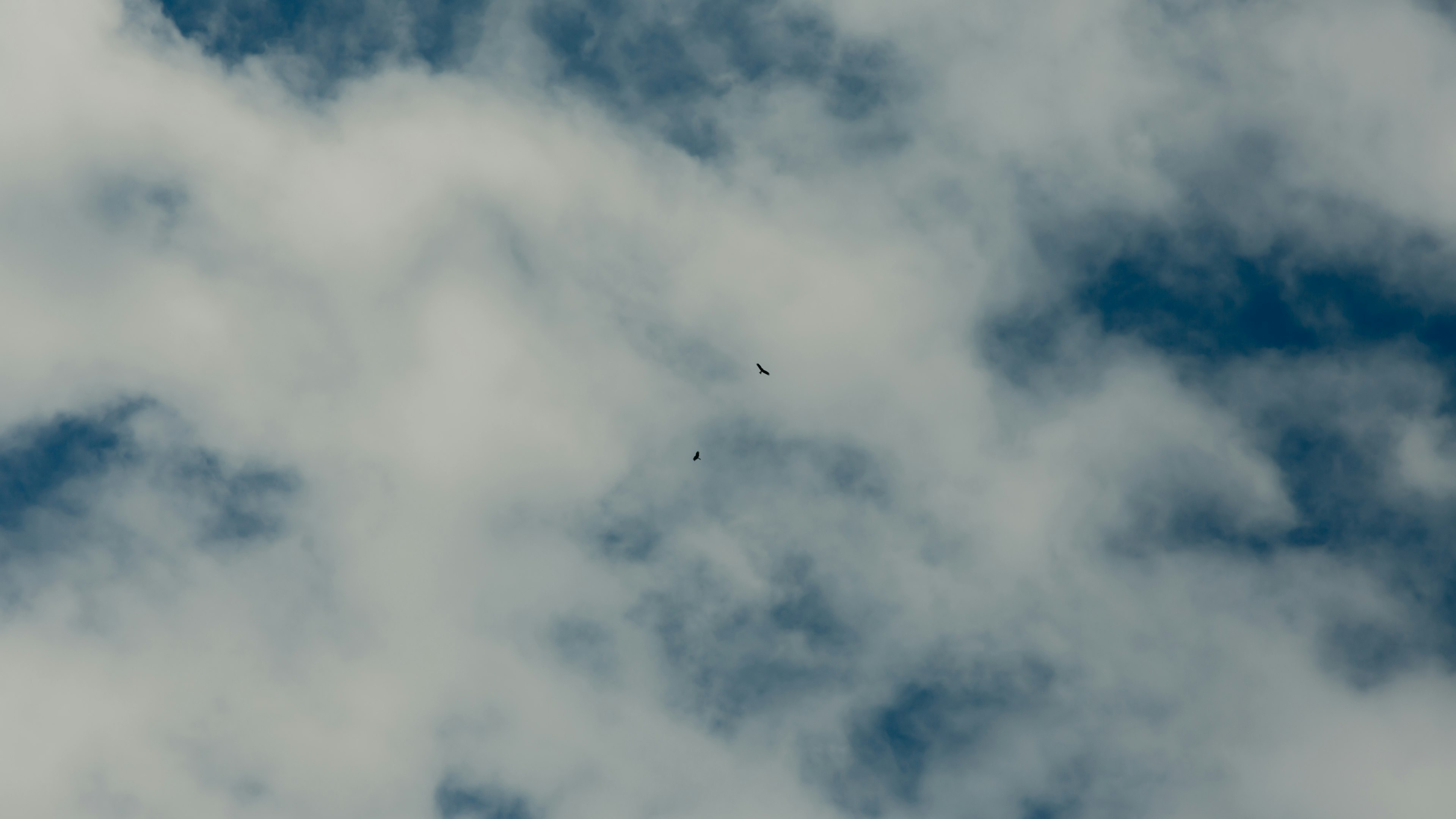 Eine Ansicht des blauen Himmels mit weißen Wolken