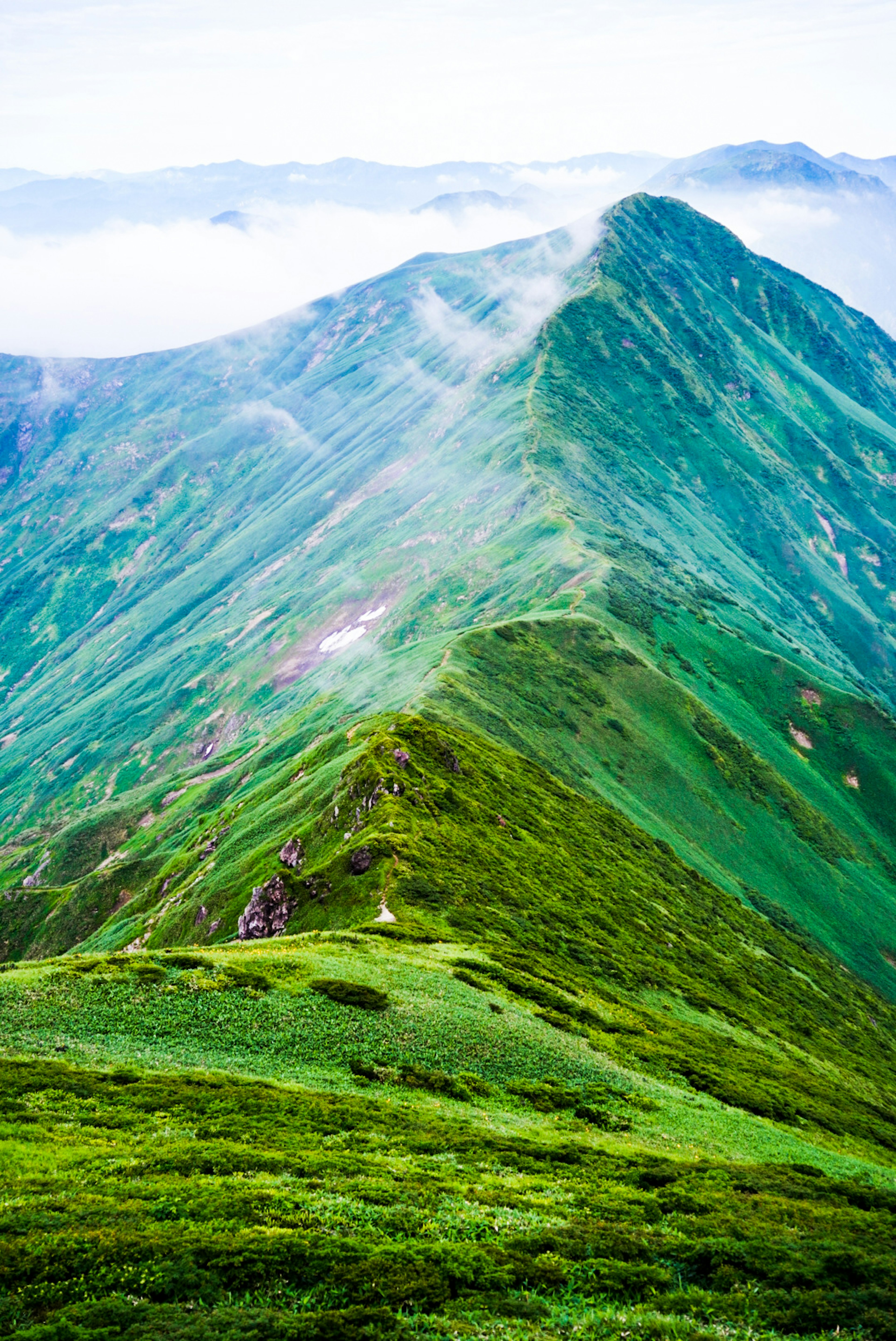 緑の山々と霧の風景が広がる美しい山脈