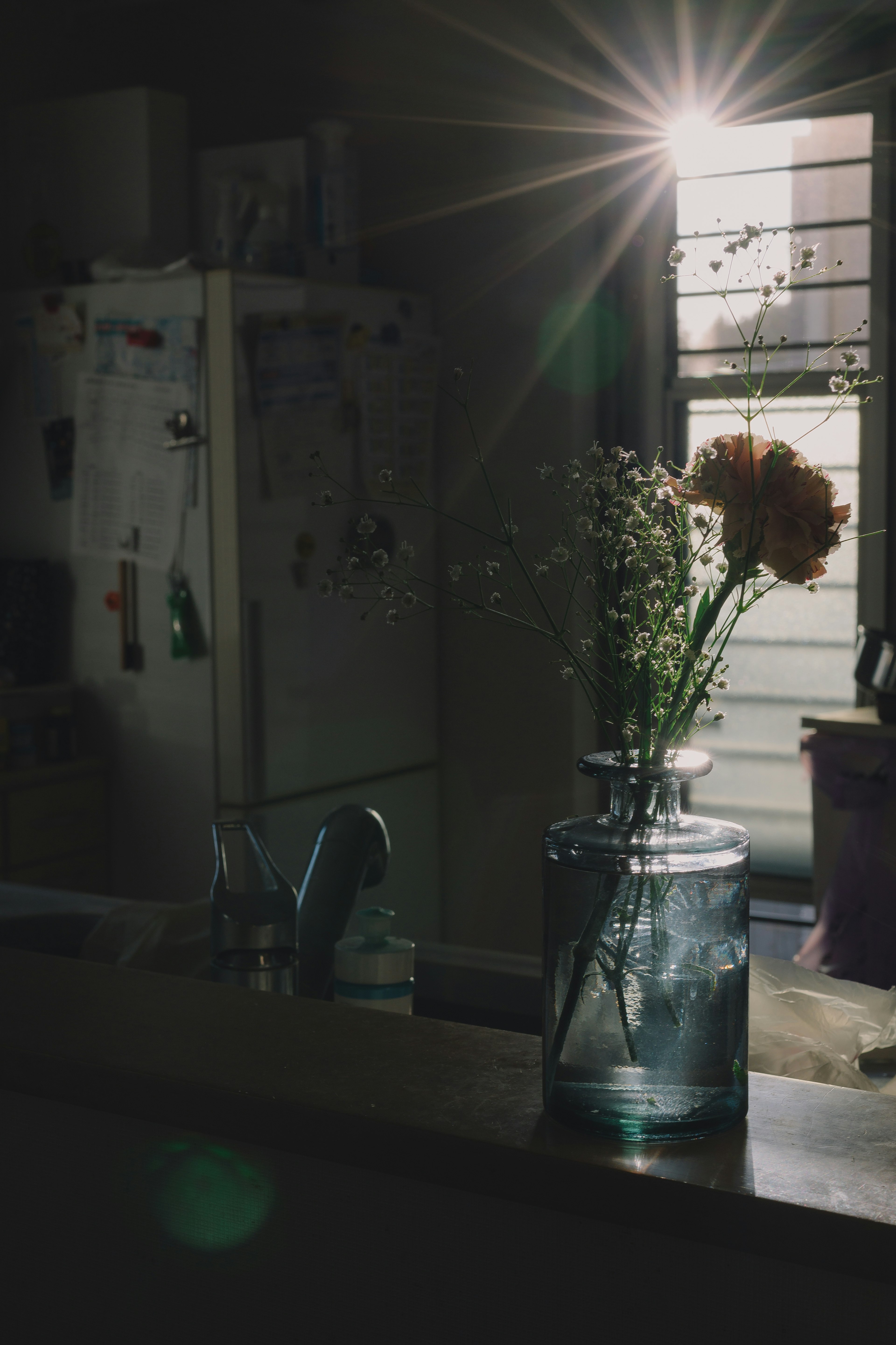 A kitchen scene featuring sunlight streaming through a window illuminating a vase with flowers