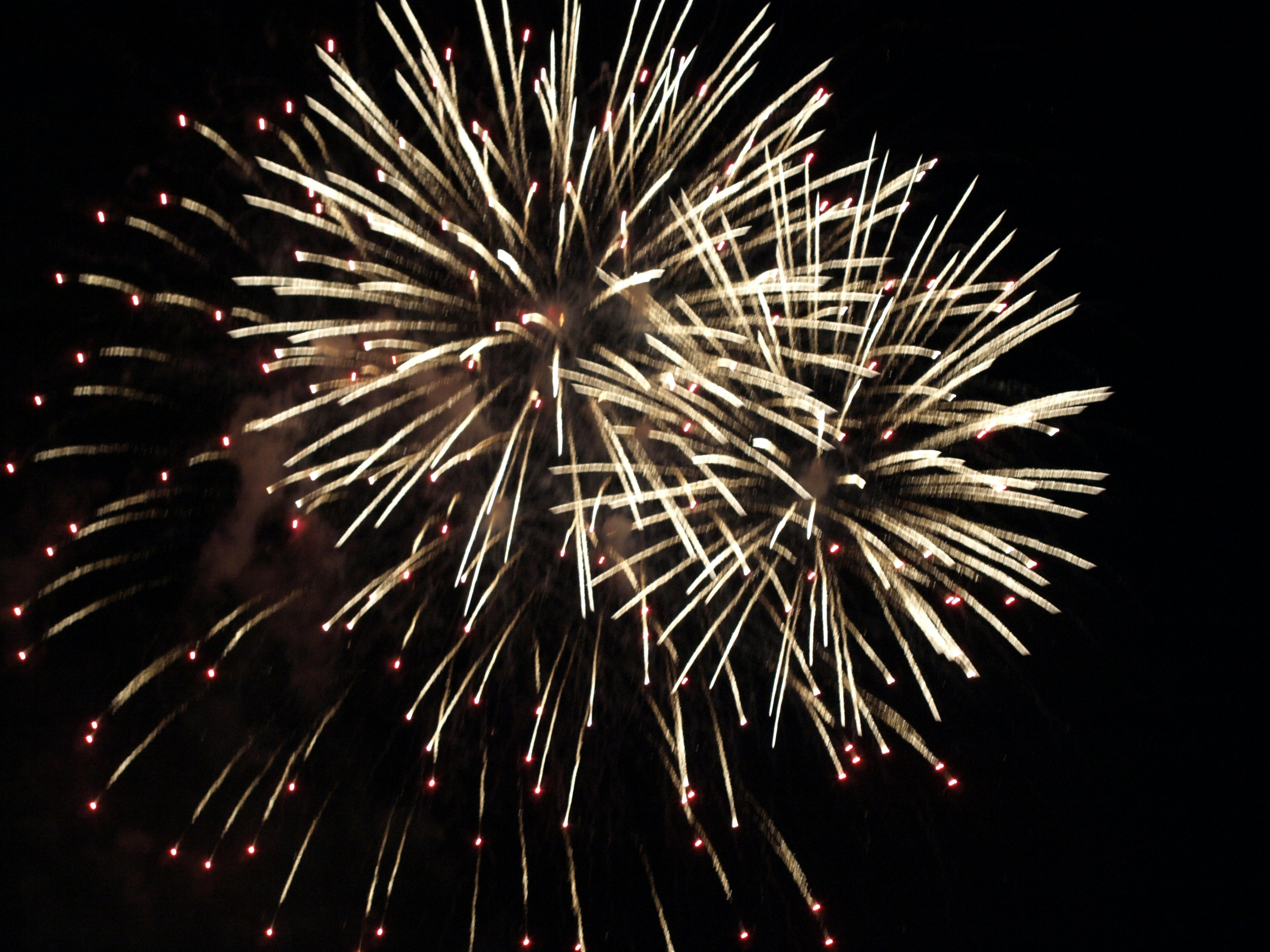 Brilliant fireworks bursting in the night sky