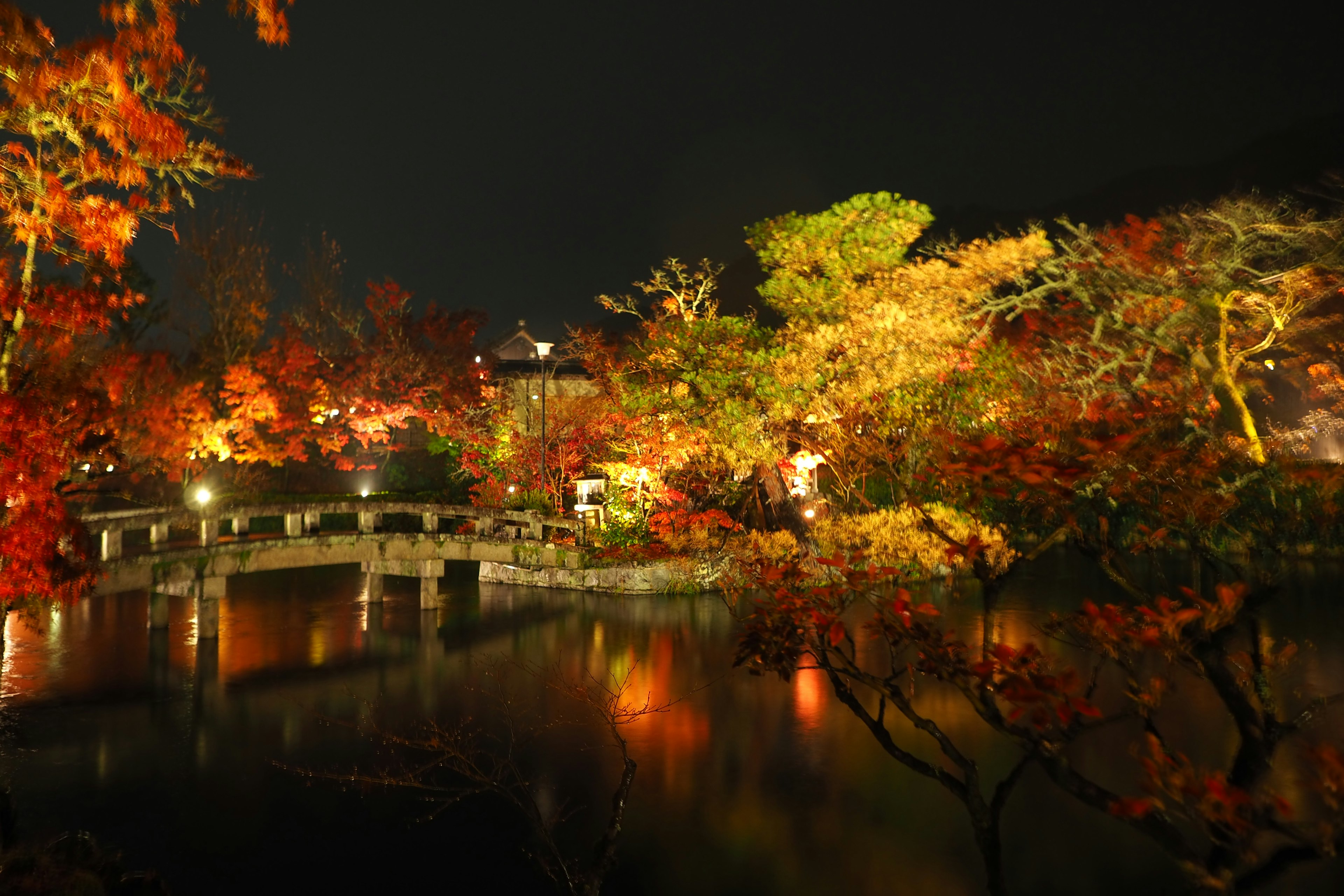 Escena de parque hermosa con follaje de otoño por la noche que presenta un puente y un estanque reflectante