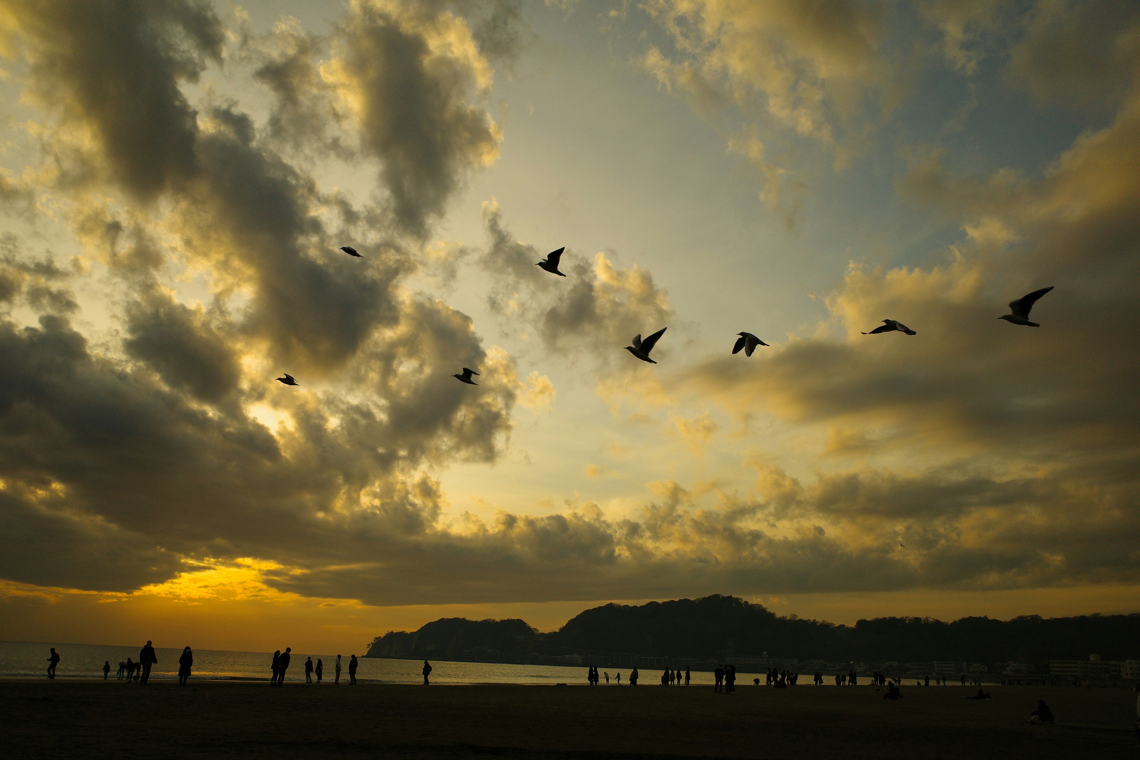 夕日を背景に飛ぶ鳥たちと海岸のシルエット