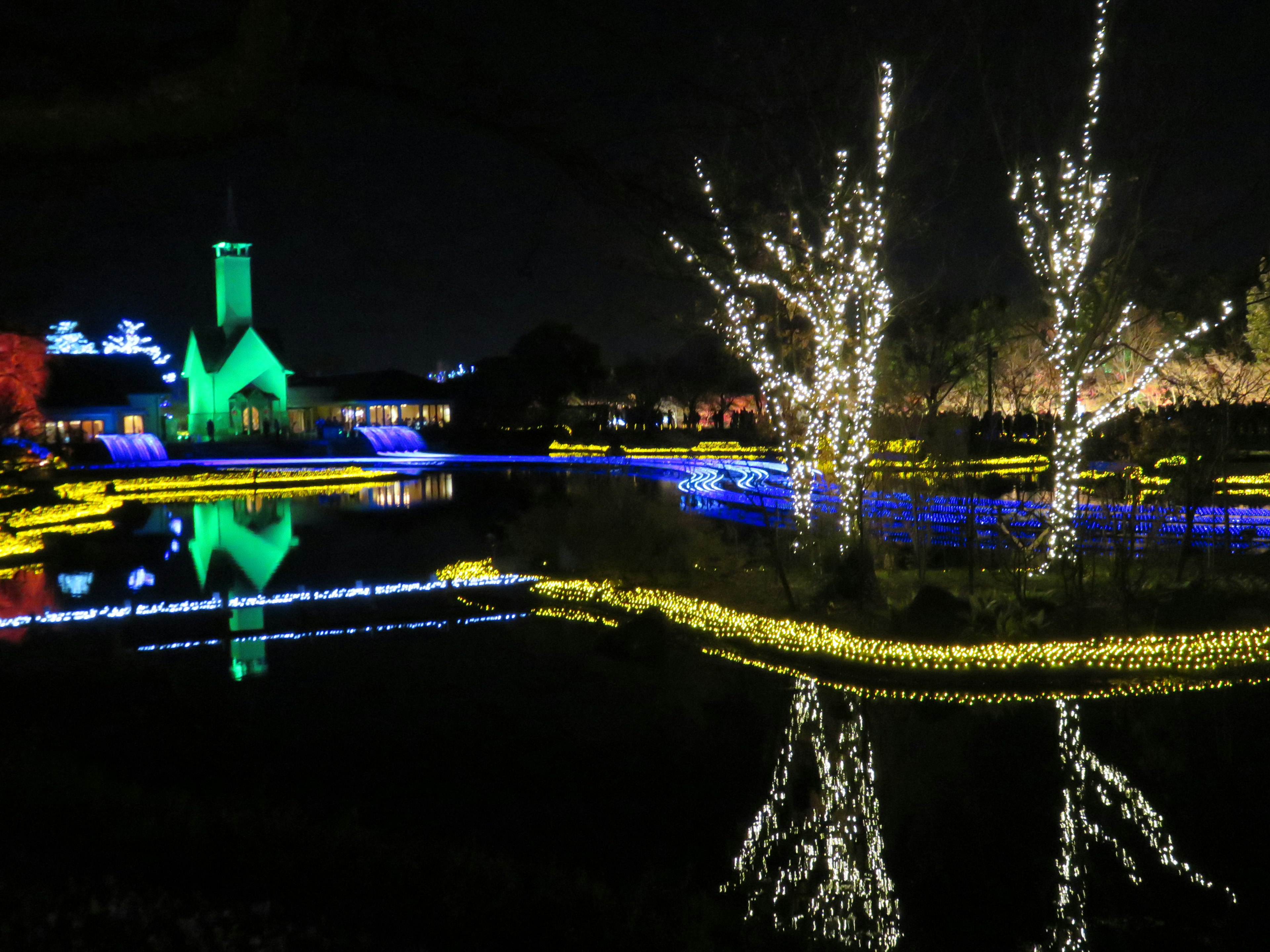 Luces coloridas reflejándose en un estanque por la noche con árboles y un edificio