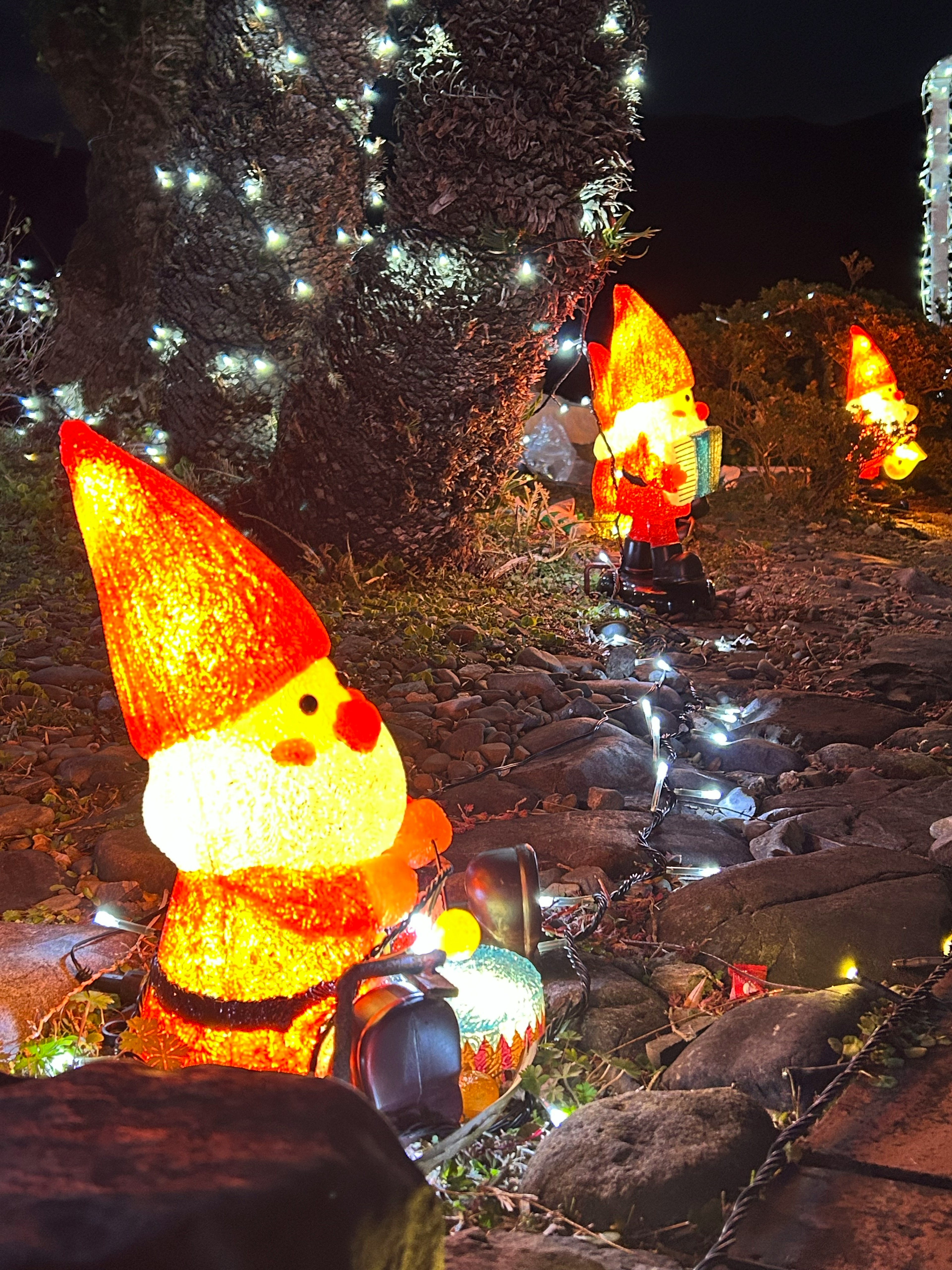 Charming Santa lights adorn a garden pathway at night