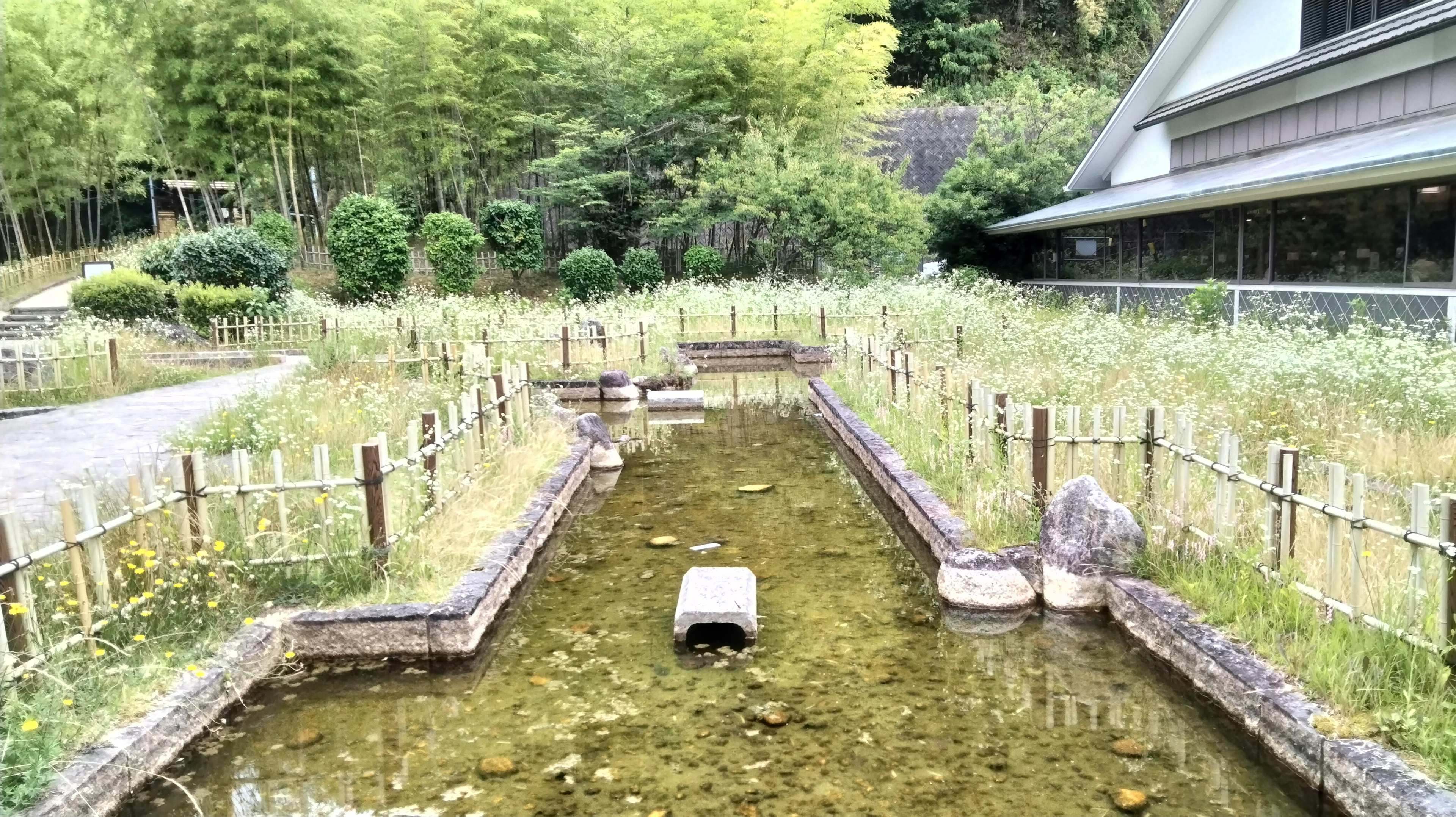 静かな池と竹の林がある日本の庭