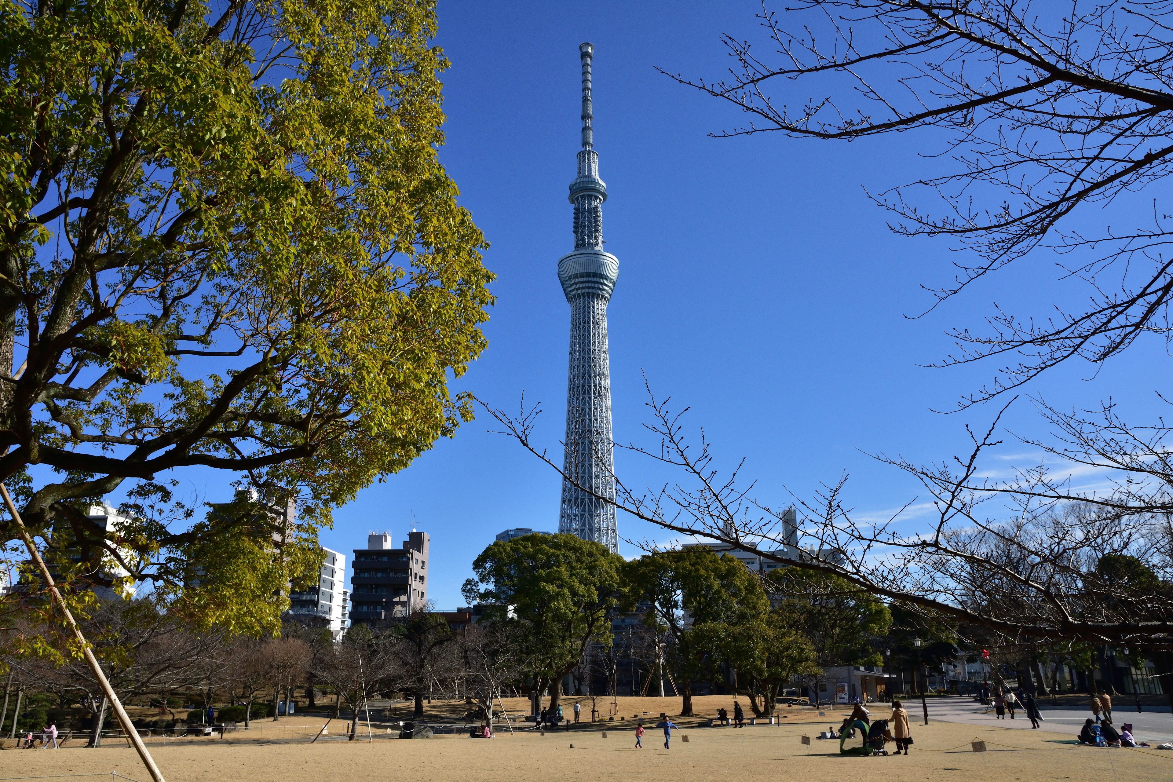 Blick auf den Tokyo Skytree im Hintergrund eines Parks