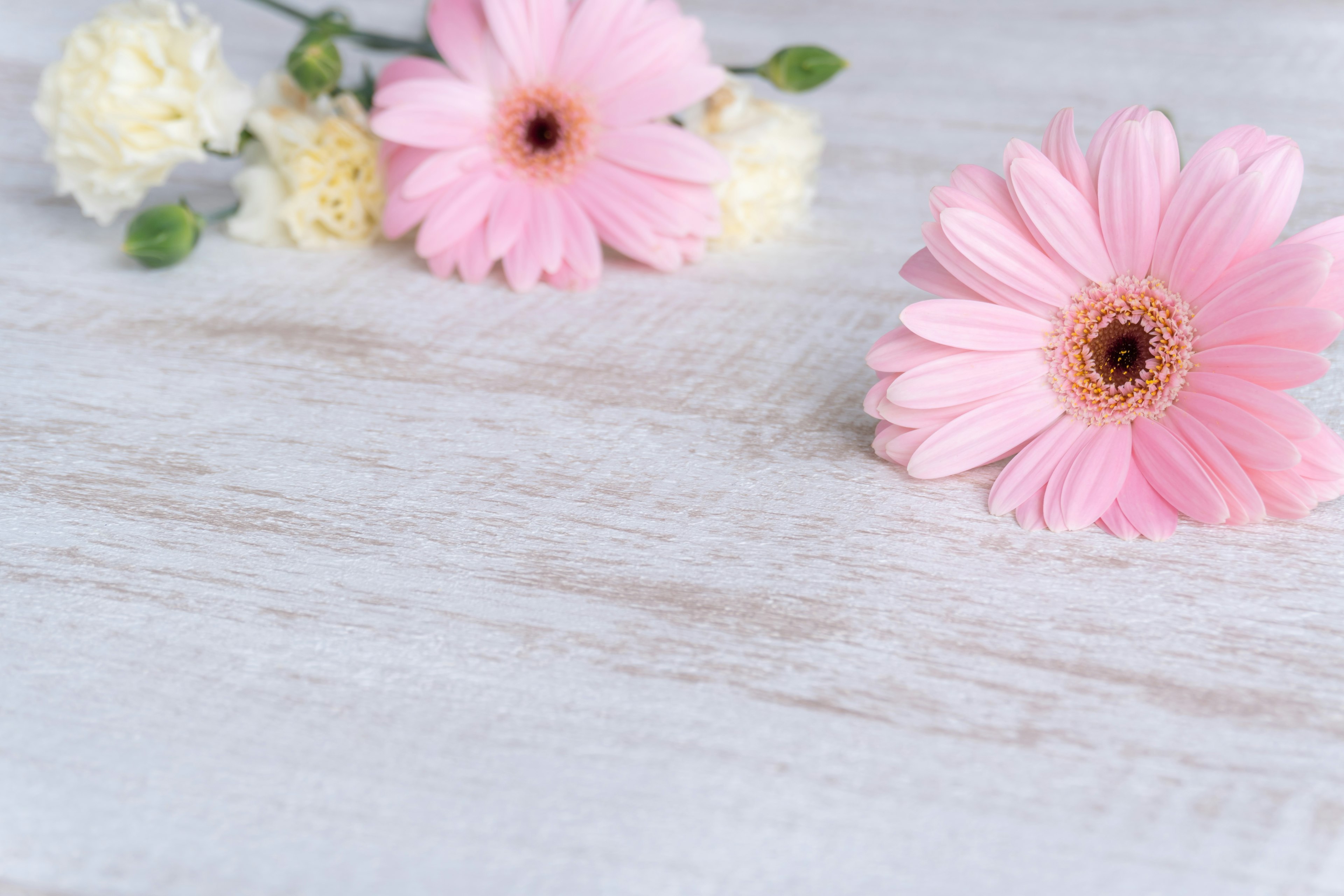 Rosa Blumen und weiße Blumen auf einem hellen Holzuntergrund angeordnet