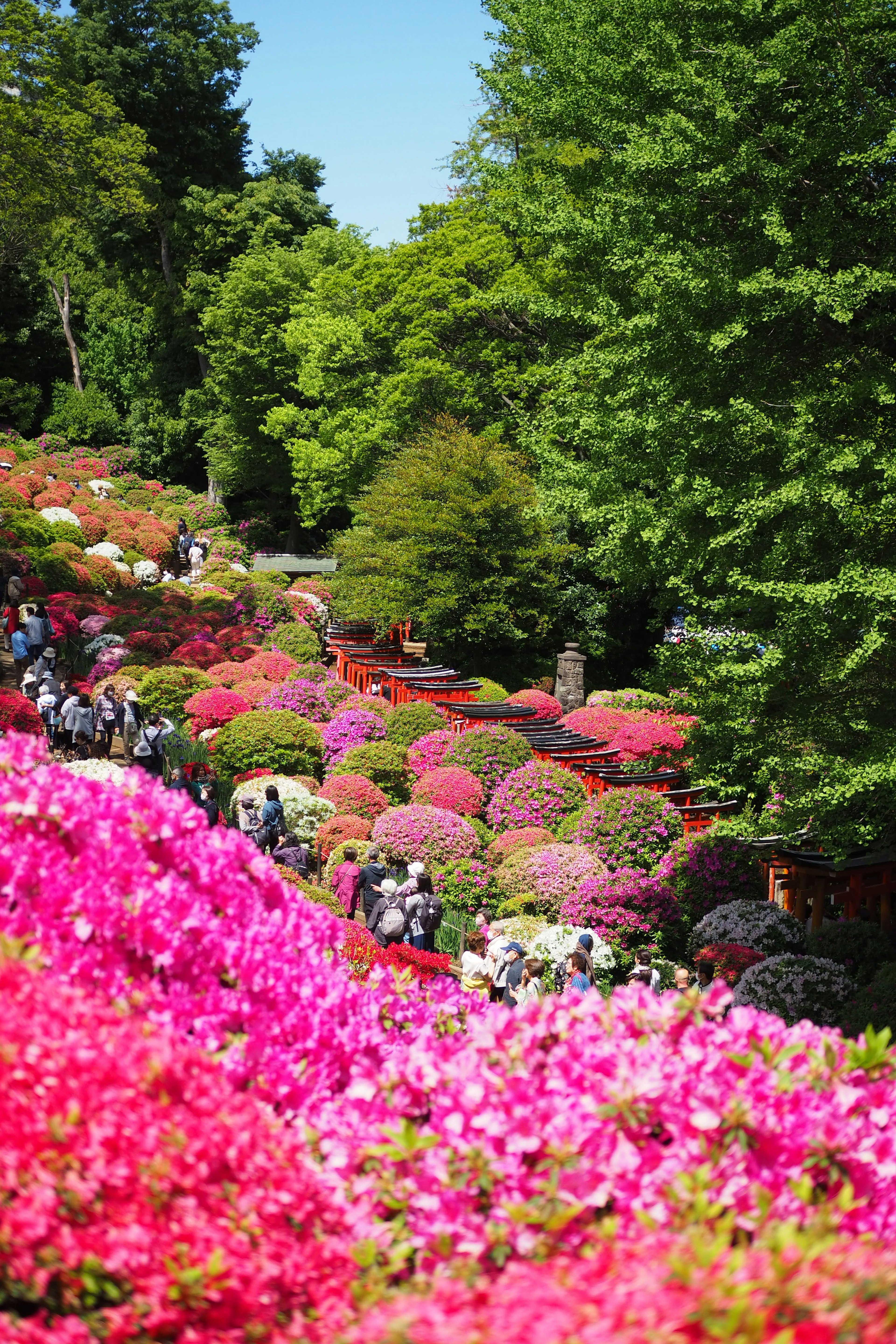 Vista panoramica di un giardino vibrante pieno di fiori colorati persone che passeggiano lungo i sentieri