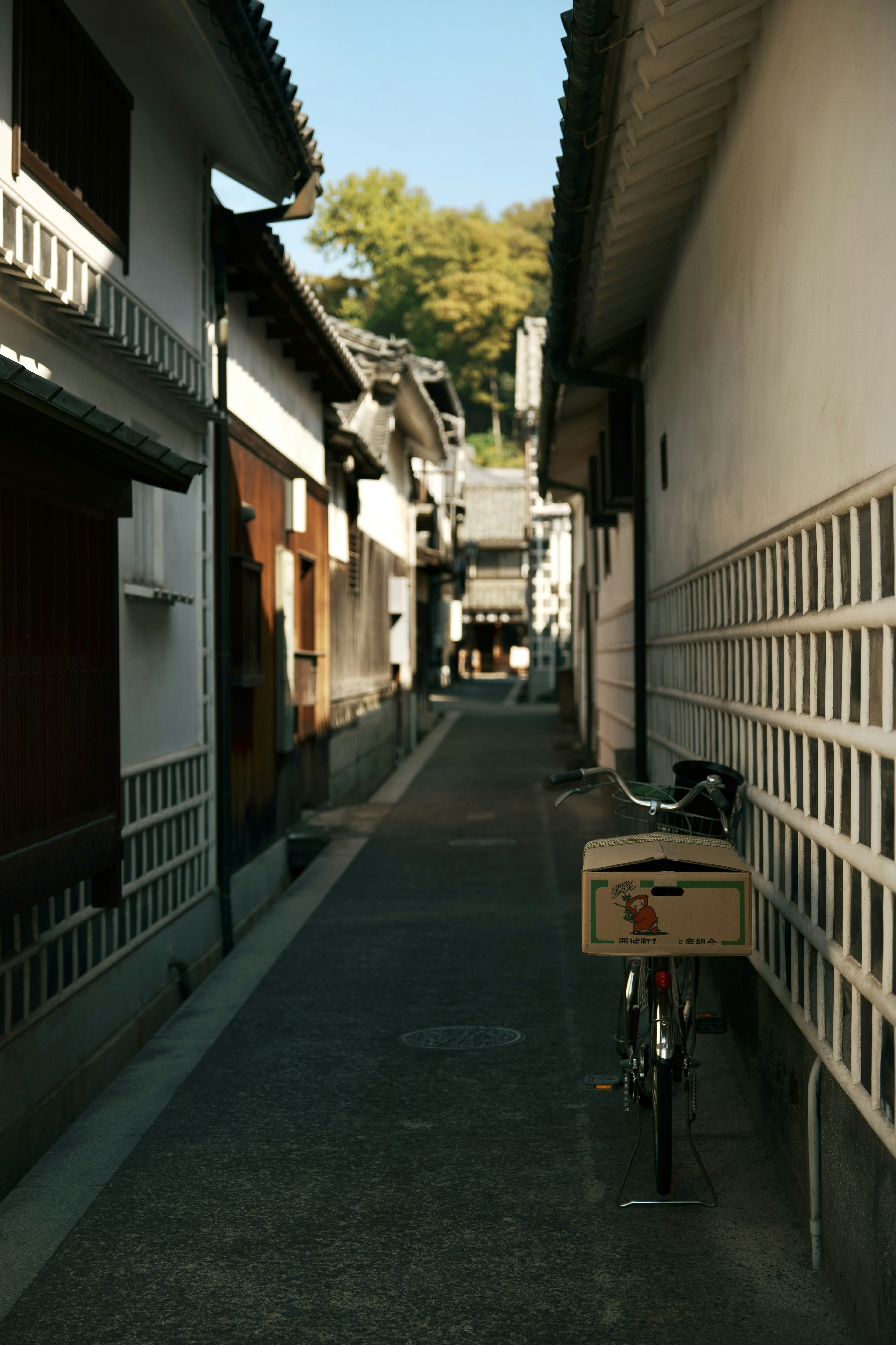 A narrow alley with a bicycle parked and traditional buildings lining the sides