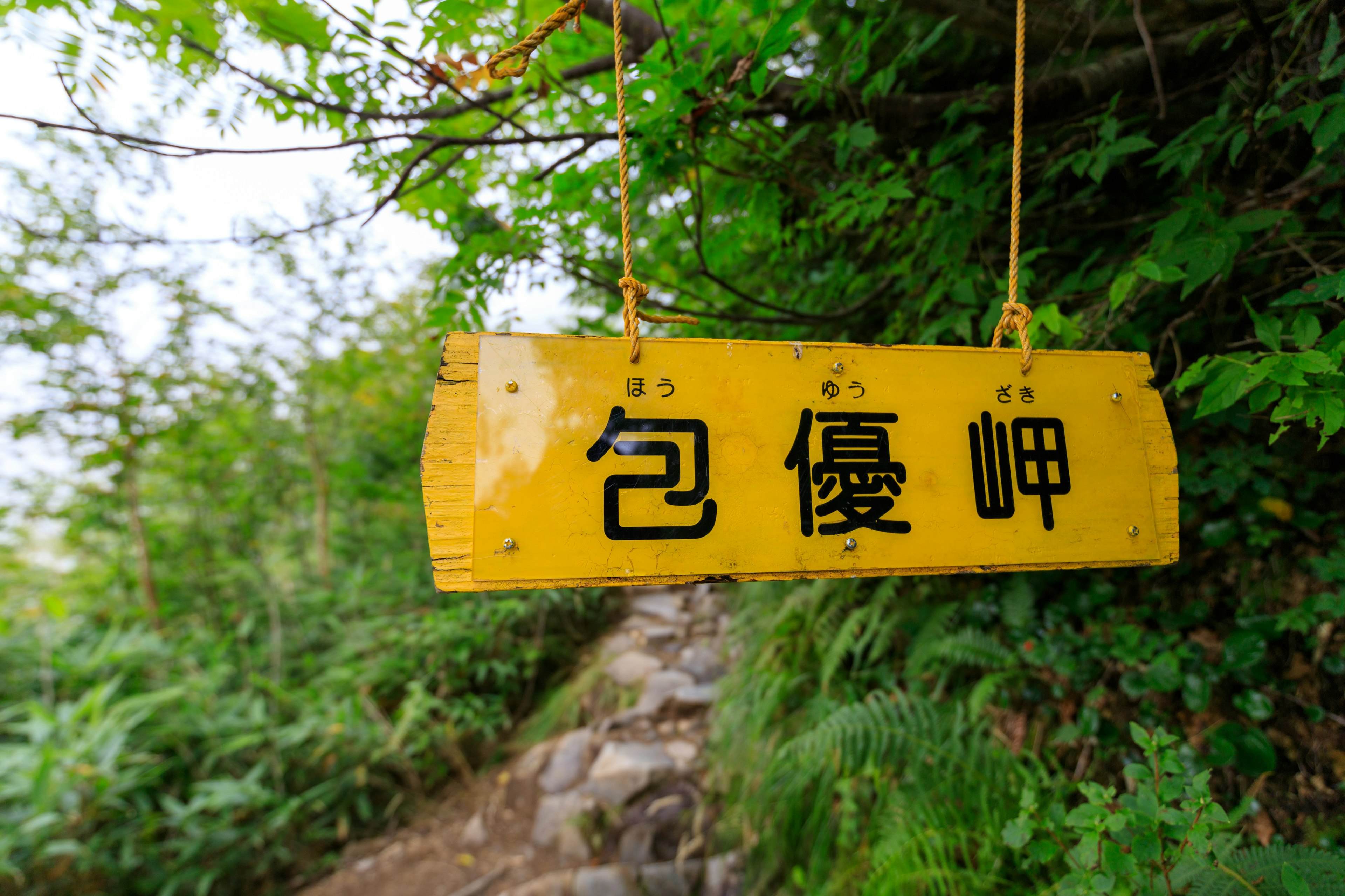 Cartel de madera amarilla colgado entre la vegetación con caracteres japoneses