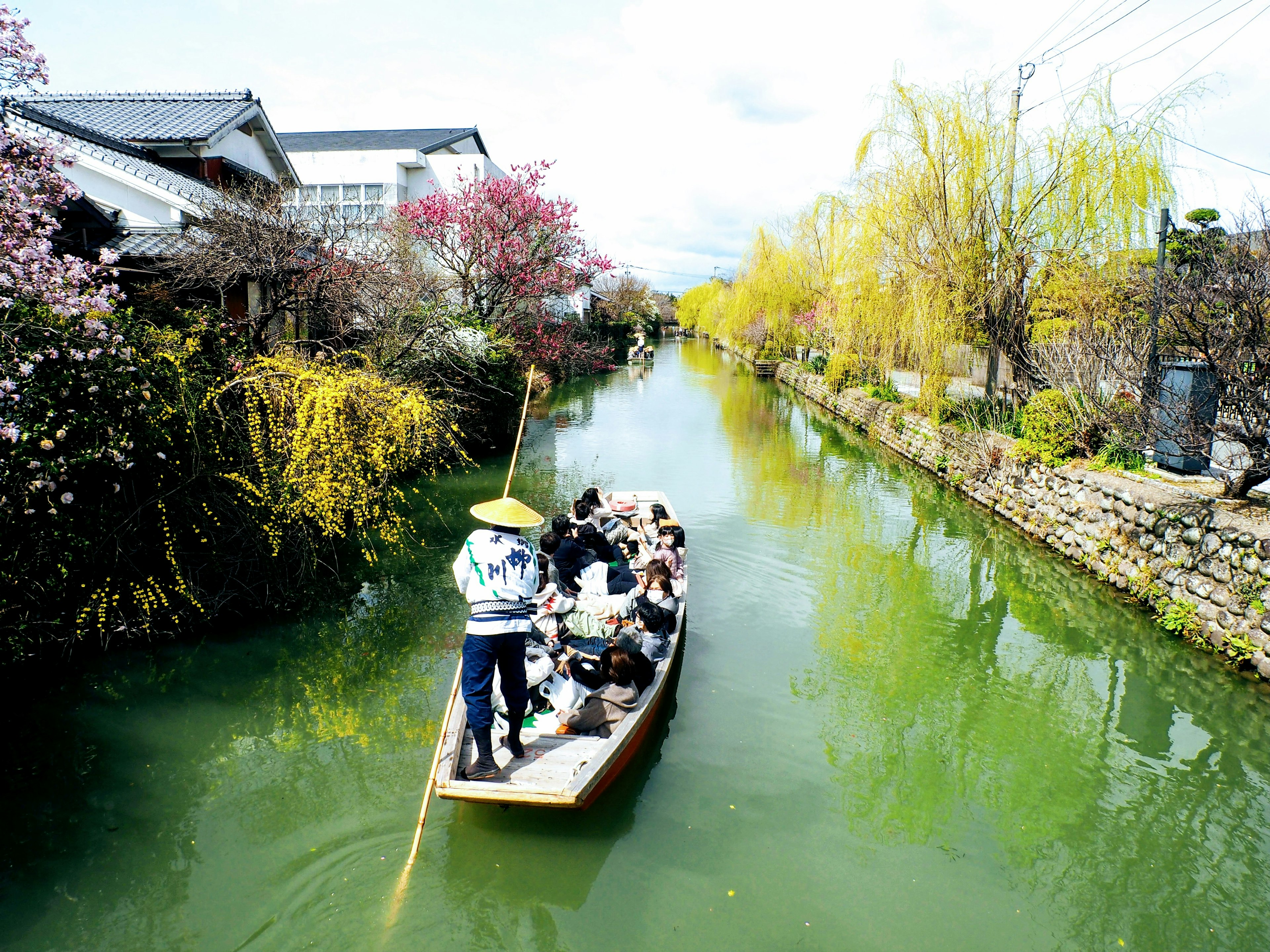 Un bateau naviguant dans un canal vert entouré de cerisiers en fleurs