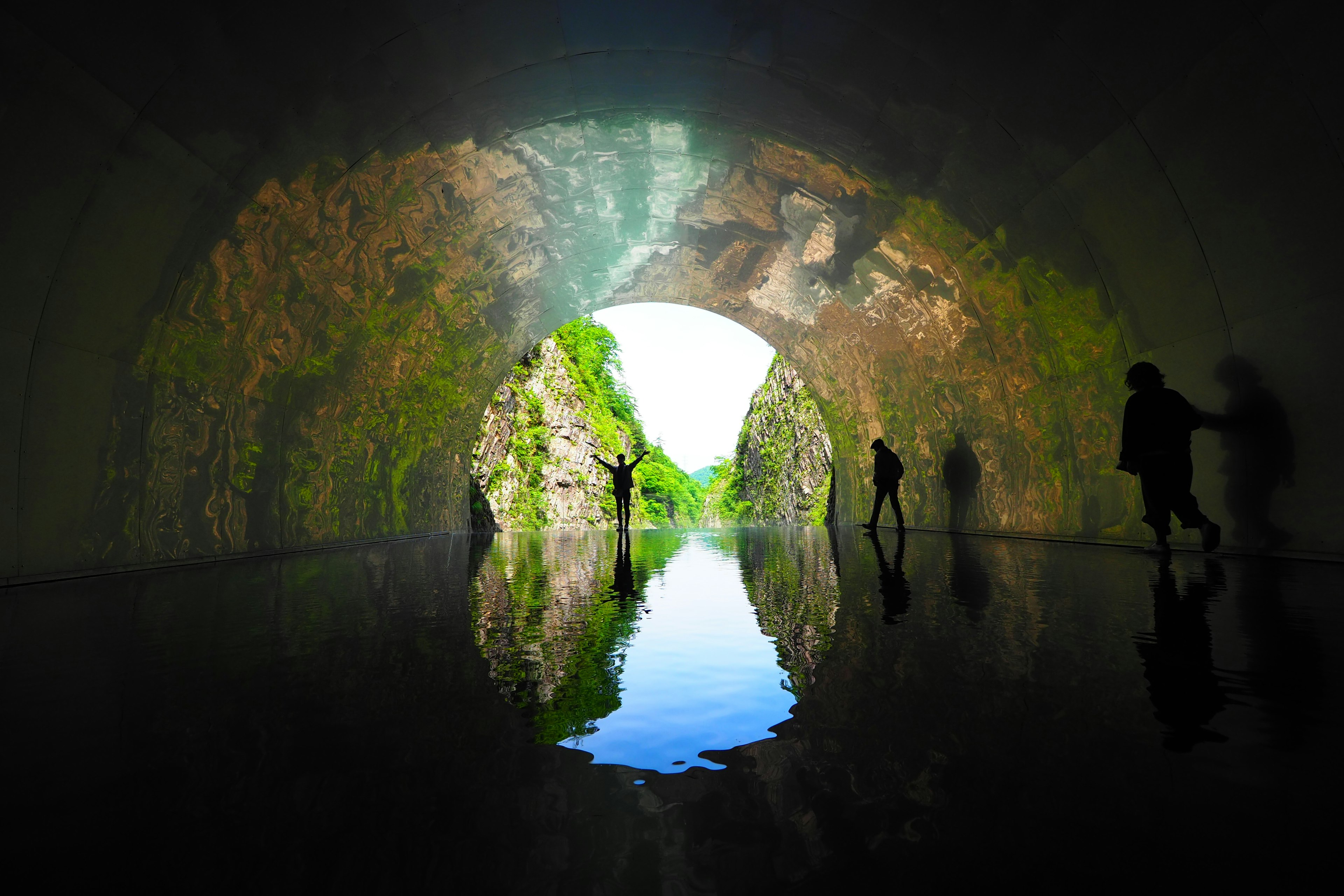 Silhouetted figures inside a moss-covered tunnel looking out at a scenic view