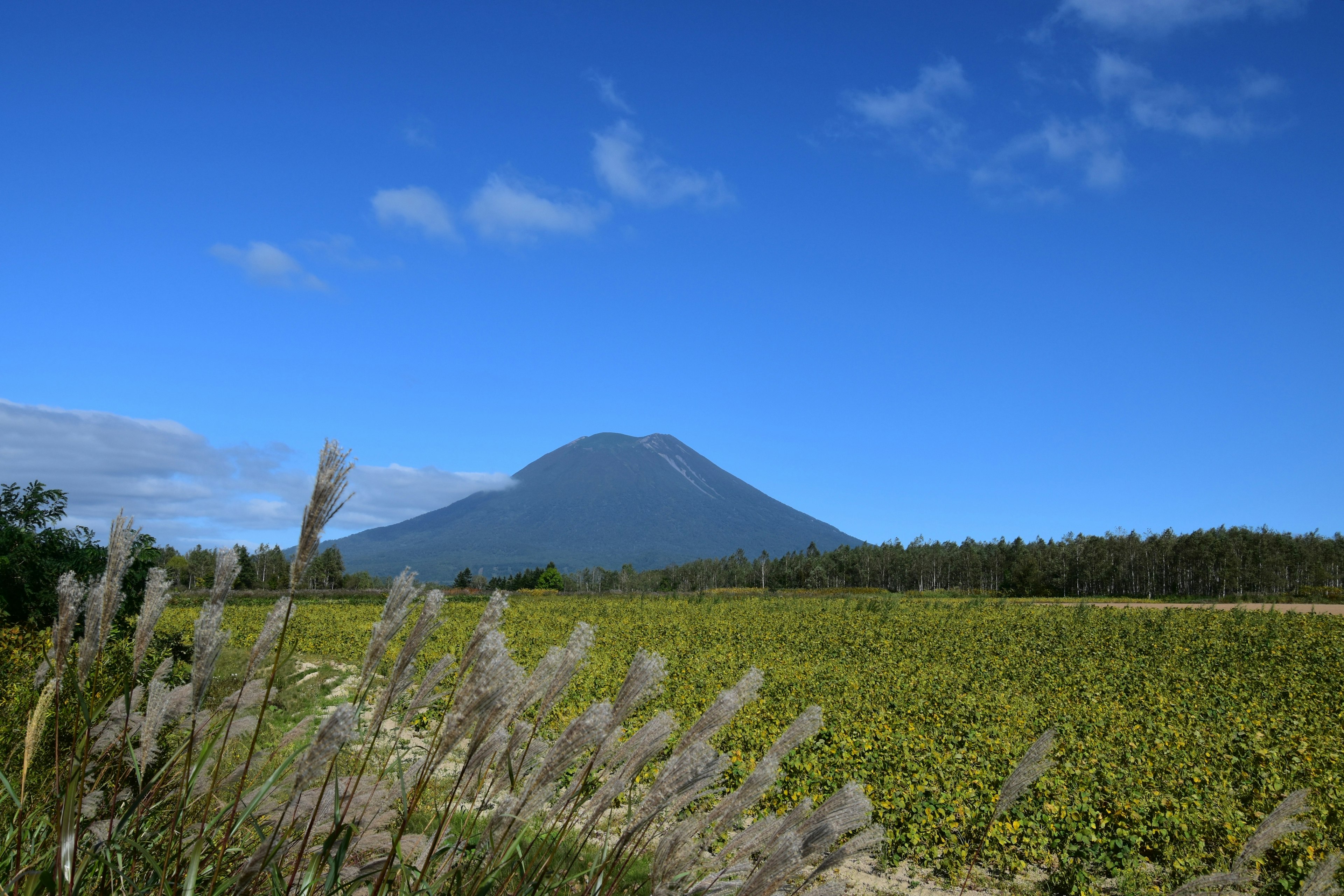 青空と草原に囲まれた美しい山の風景