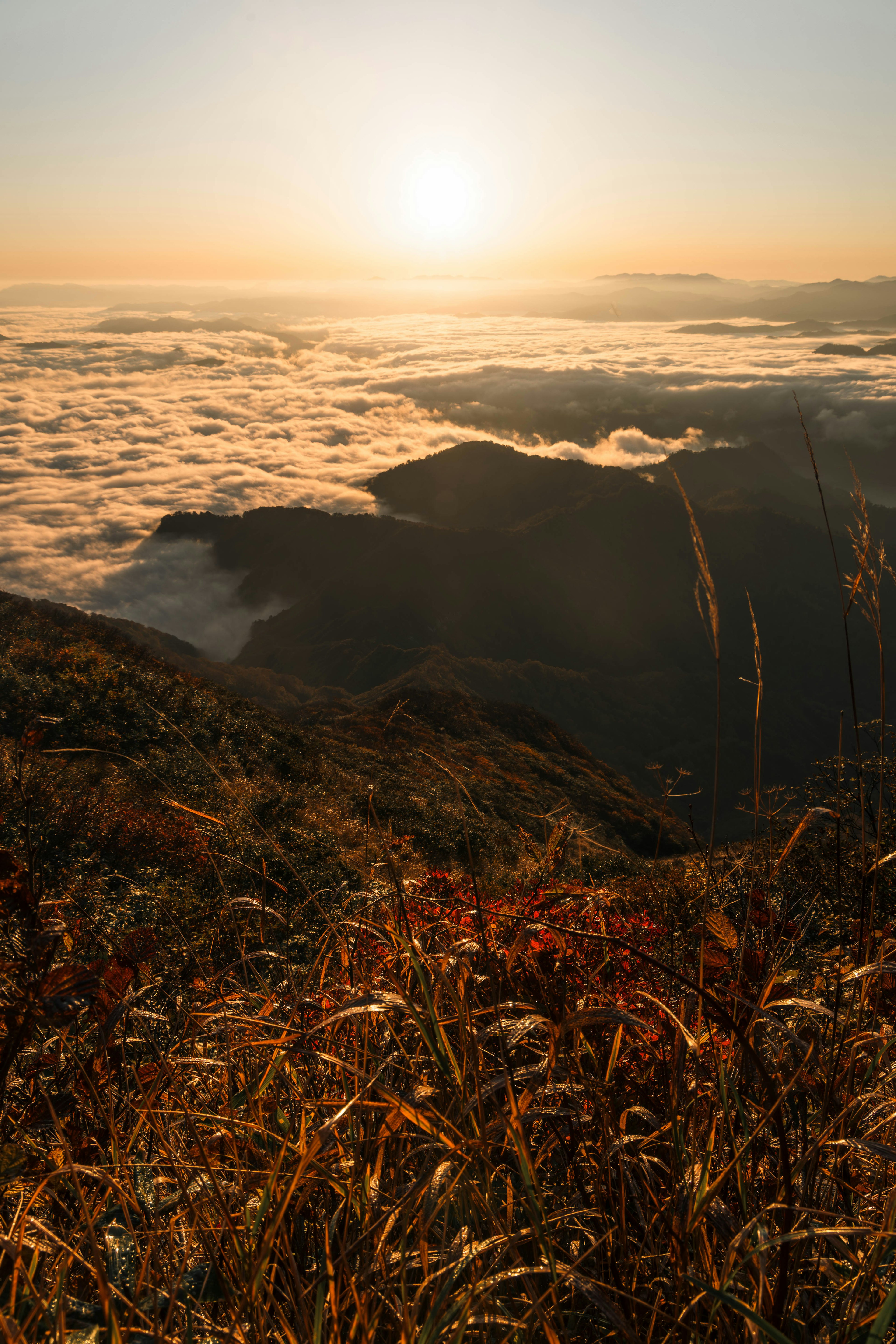 Paysage de montagne avec coucher de soleil au-dessus d'une mer de nuages et d'herbe