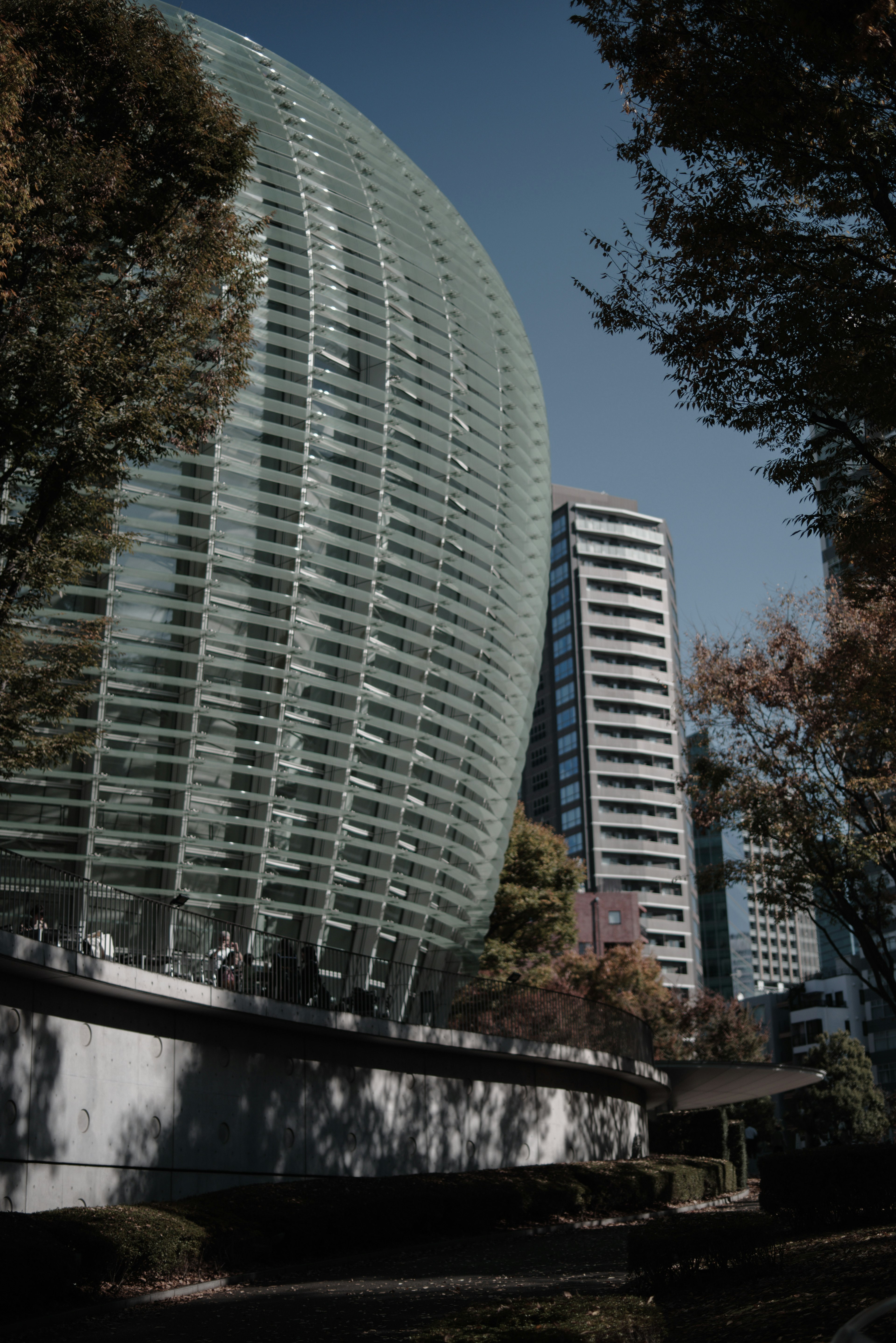 近代的なガラスの建物と高層ビルが並ぶ風景