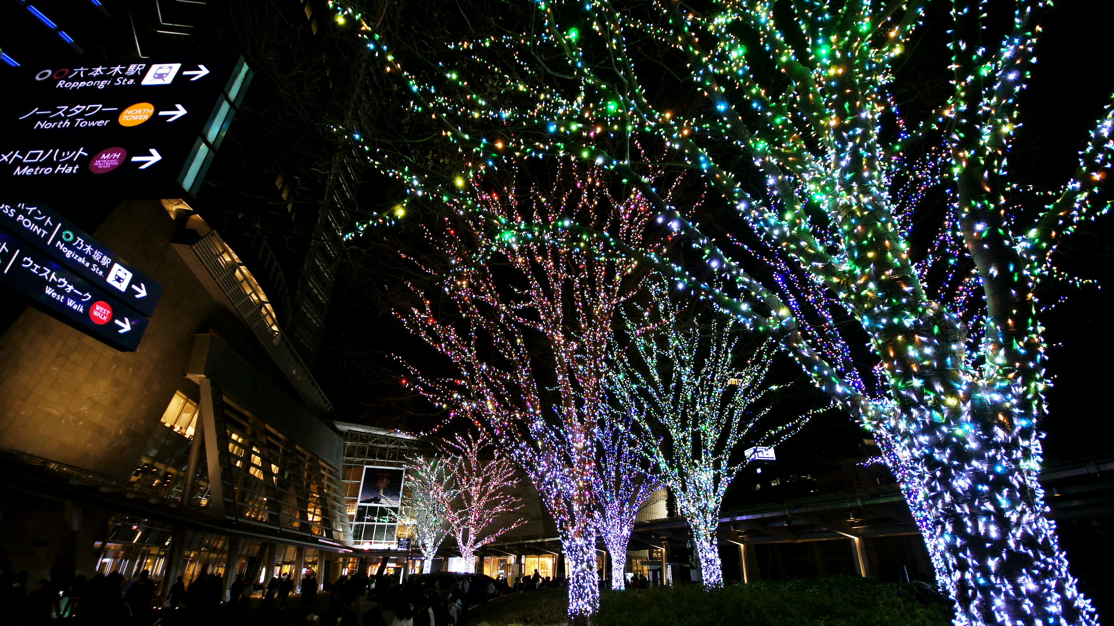 Alberi illuminati con luci colorate in una città di notte