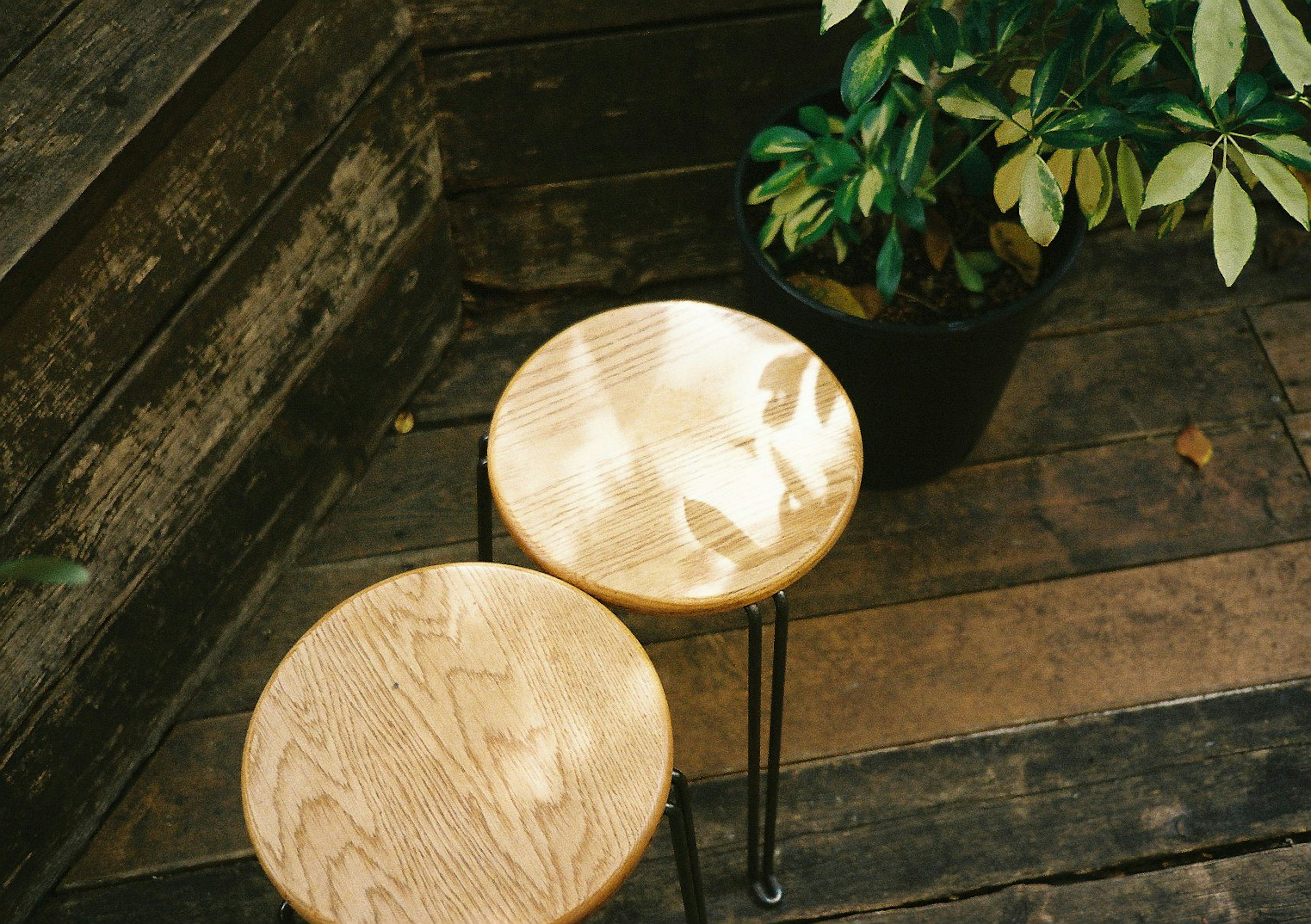 Two wooden stools with beautiful light reflections in a cozy setting