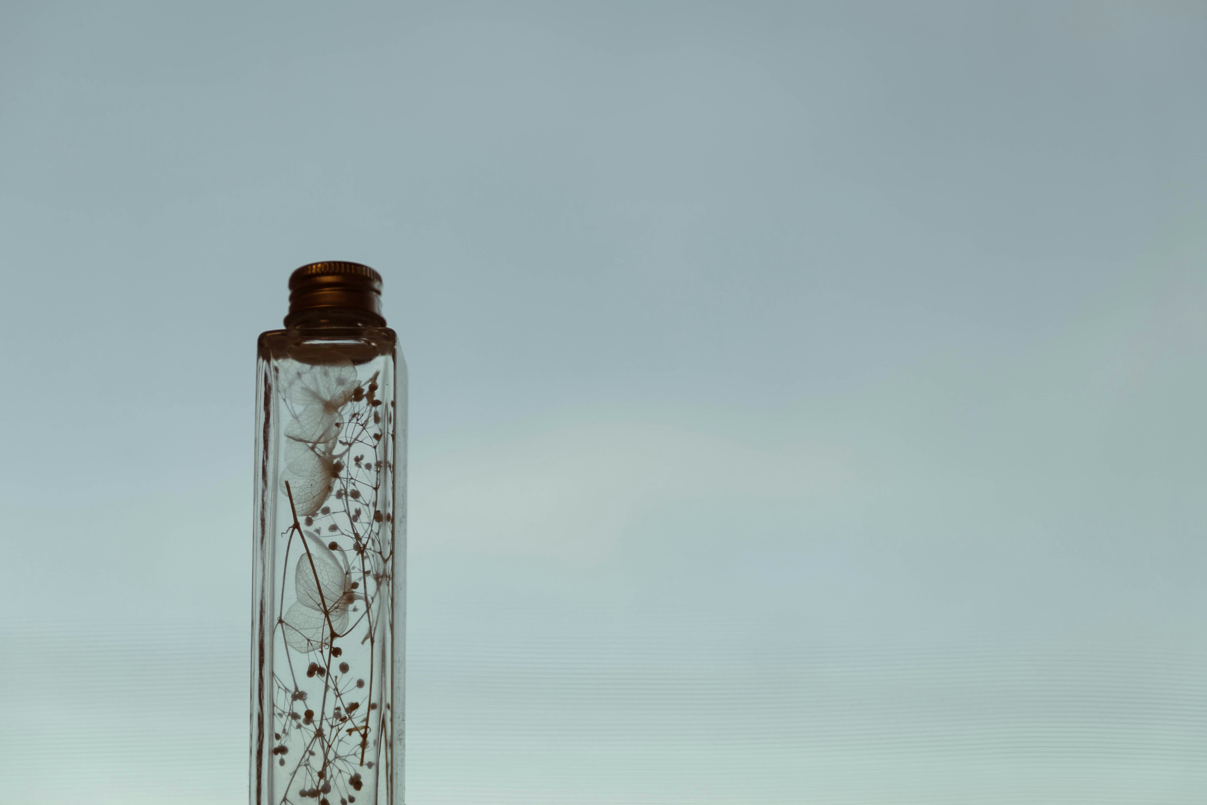 Clear bottle containing small white flowers and water