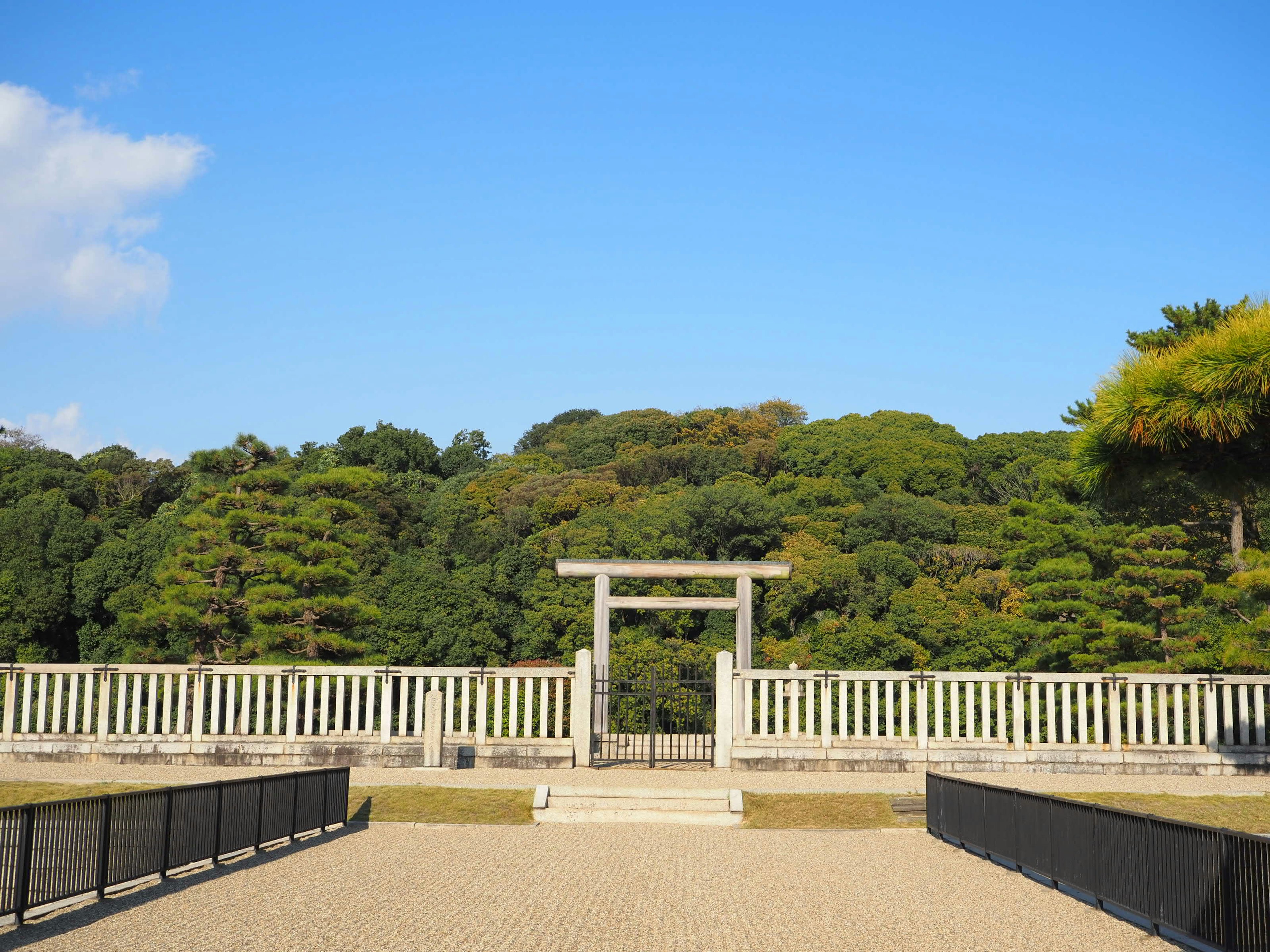 Torii-Tor mit üppigem Grün im Hintergrund