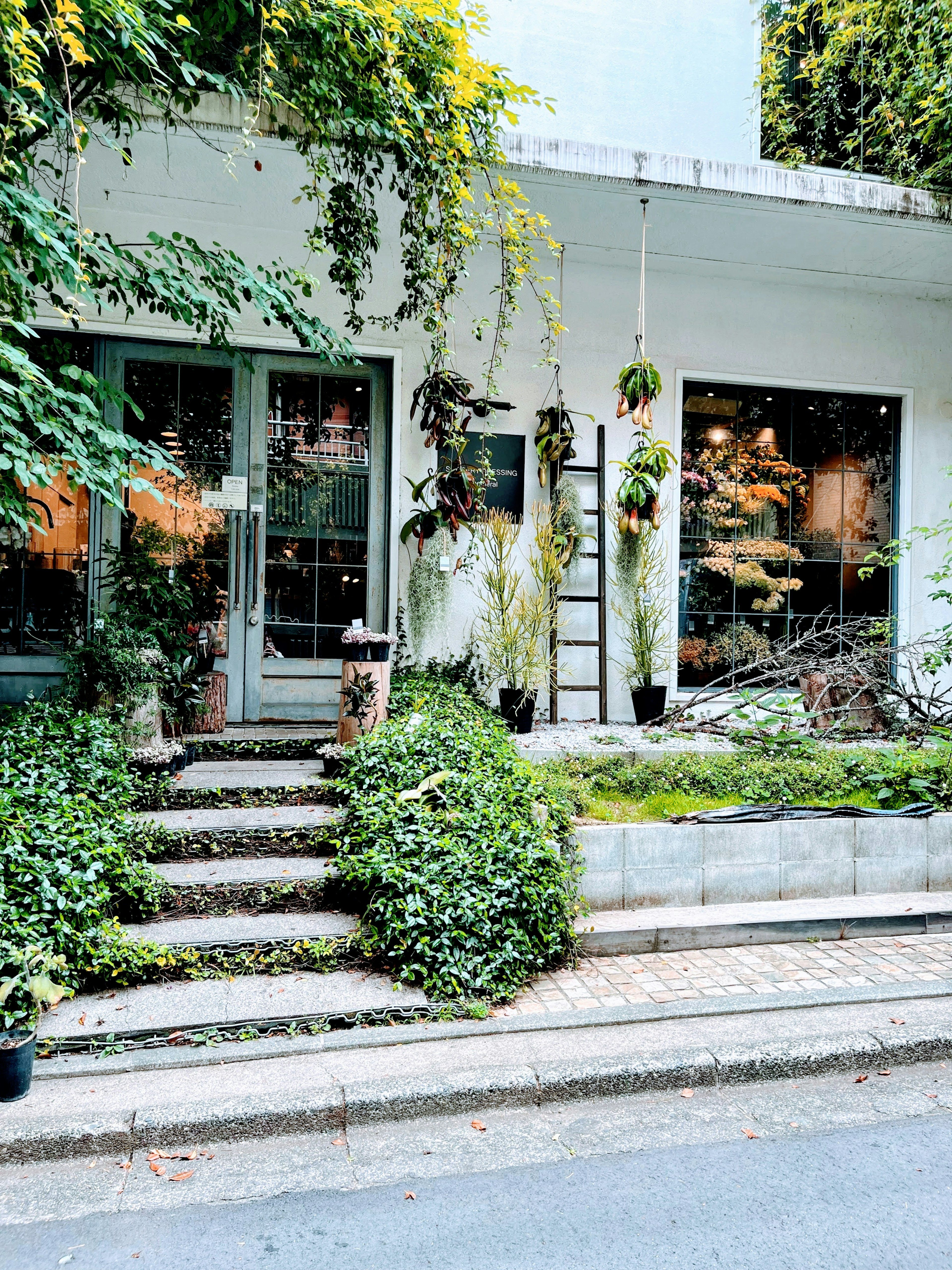 Exterior of a white house surrounded by greenery with a plant-filled entrance and stairs