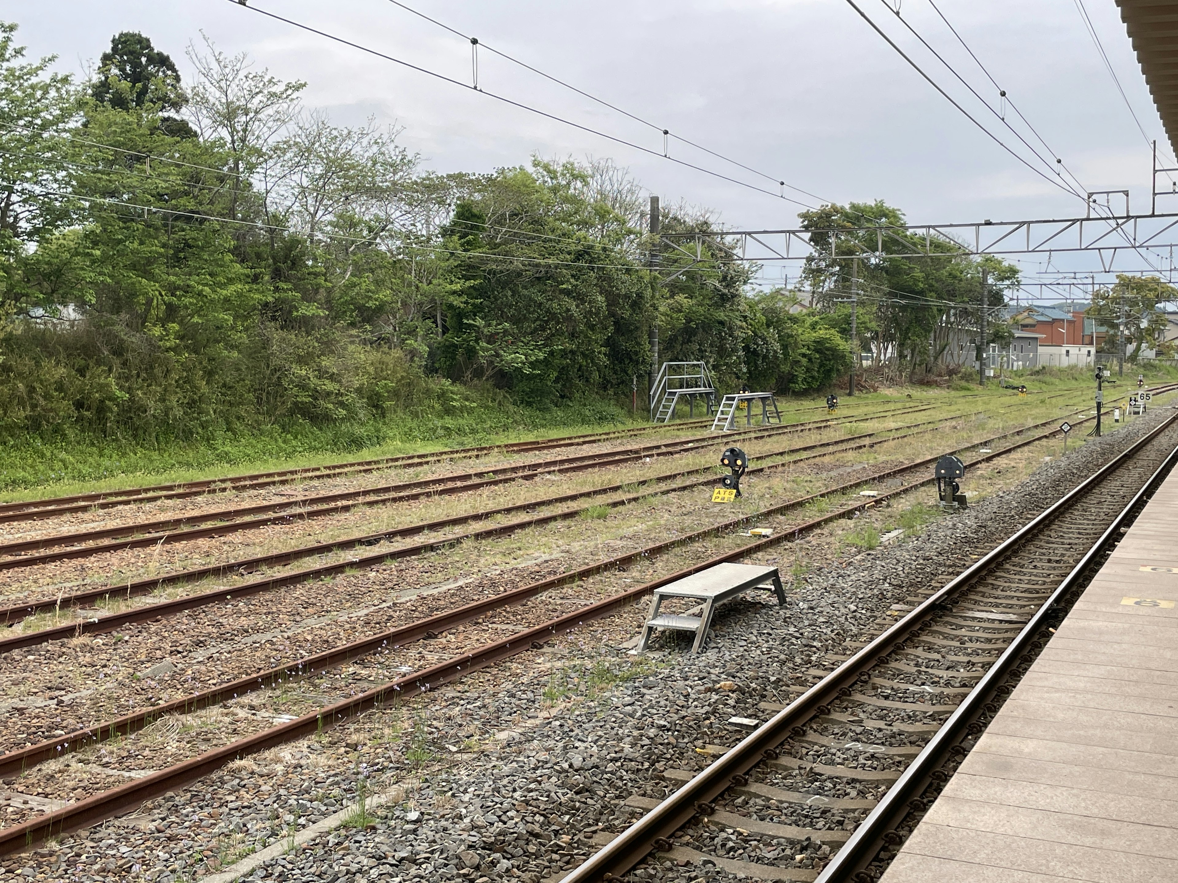 鉄道の線路と周囲の緑の景色