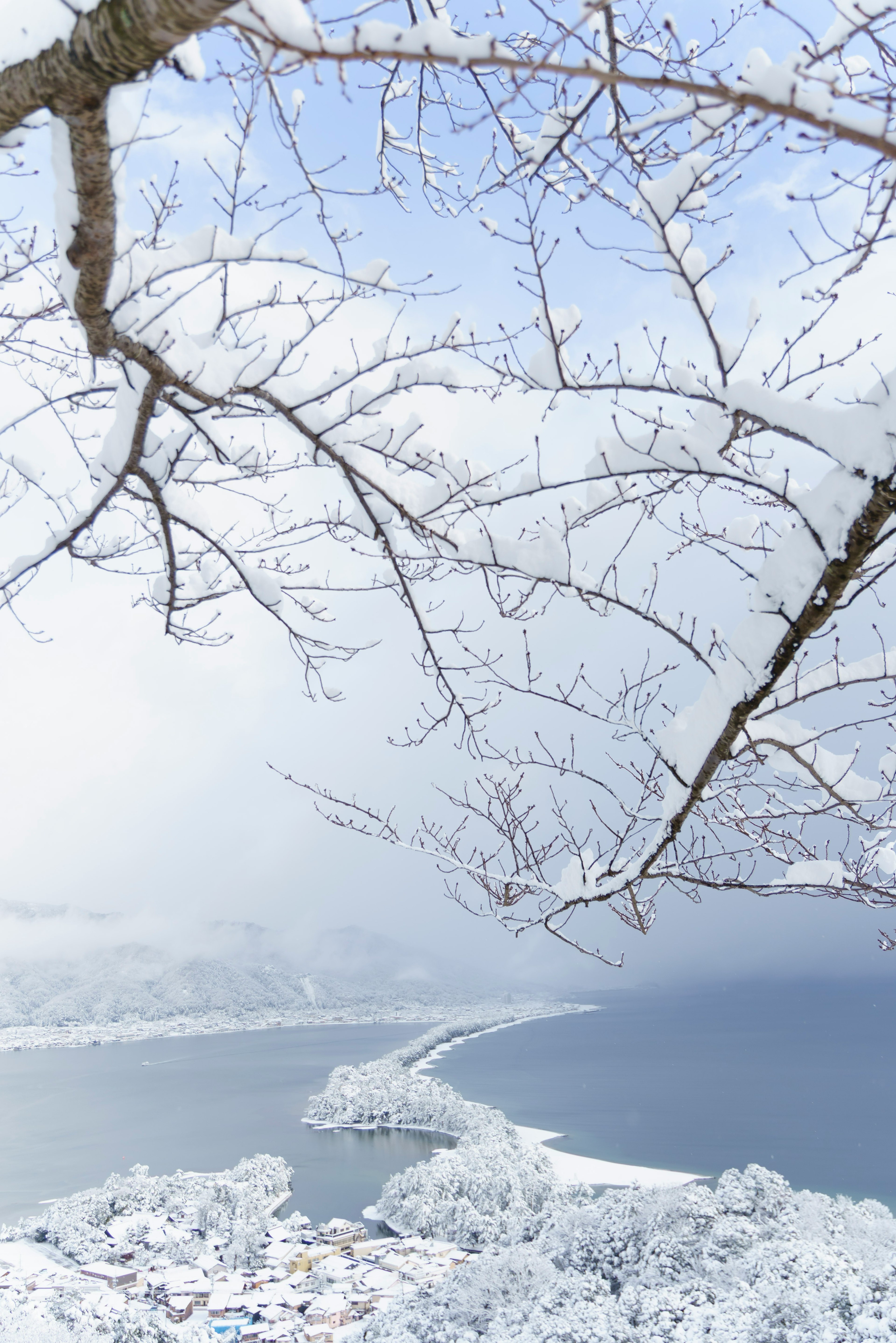 Ramas de árbol cubiertas de nieve con un lago y cielo invernal