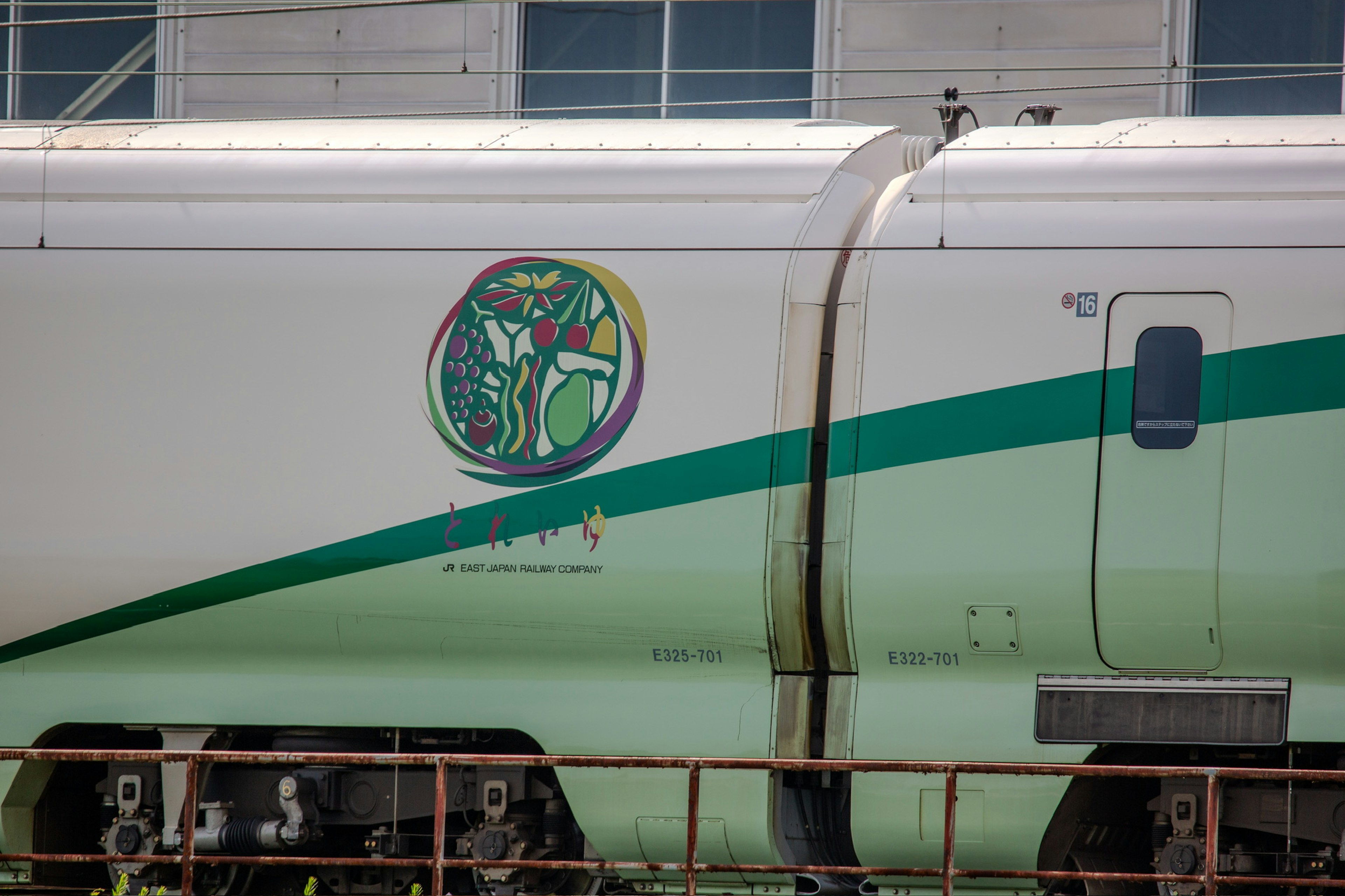 Side view of a train featuring a colorful logo and green design