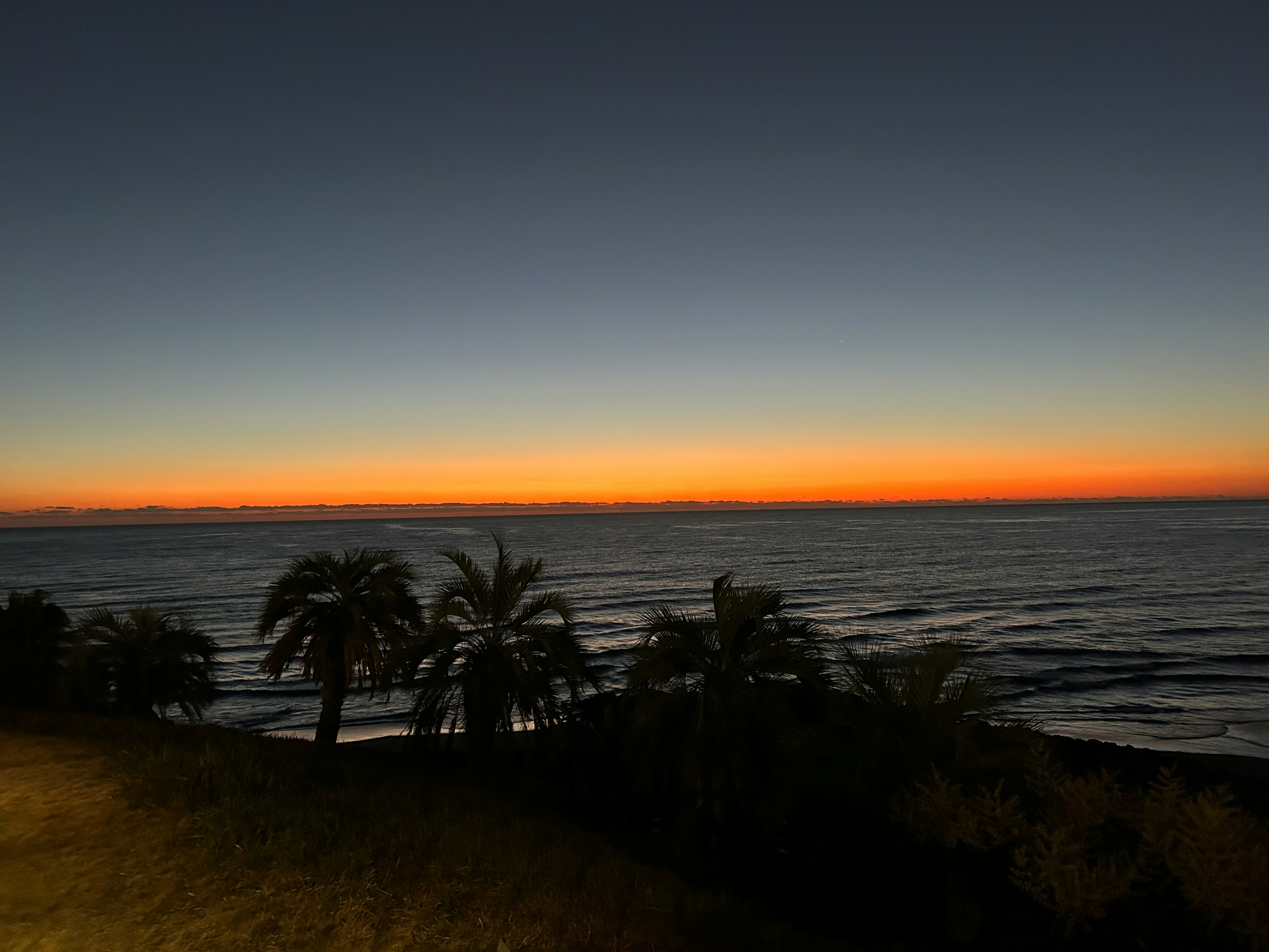 Vista del tramonto costiero con palme e oceano calmo