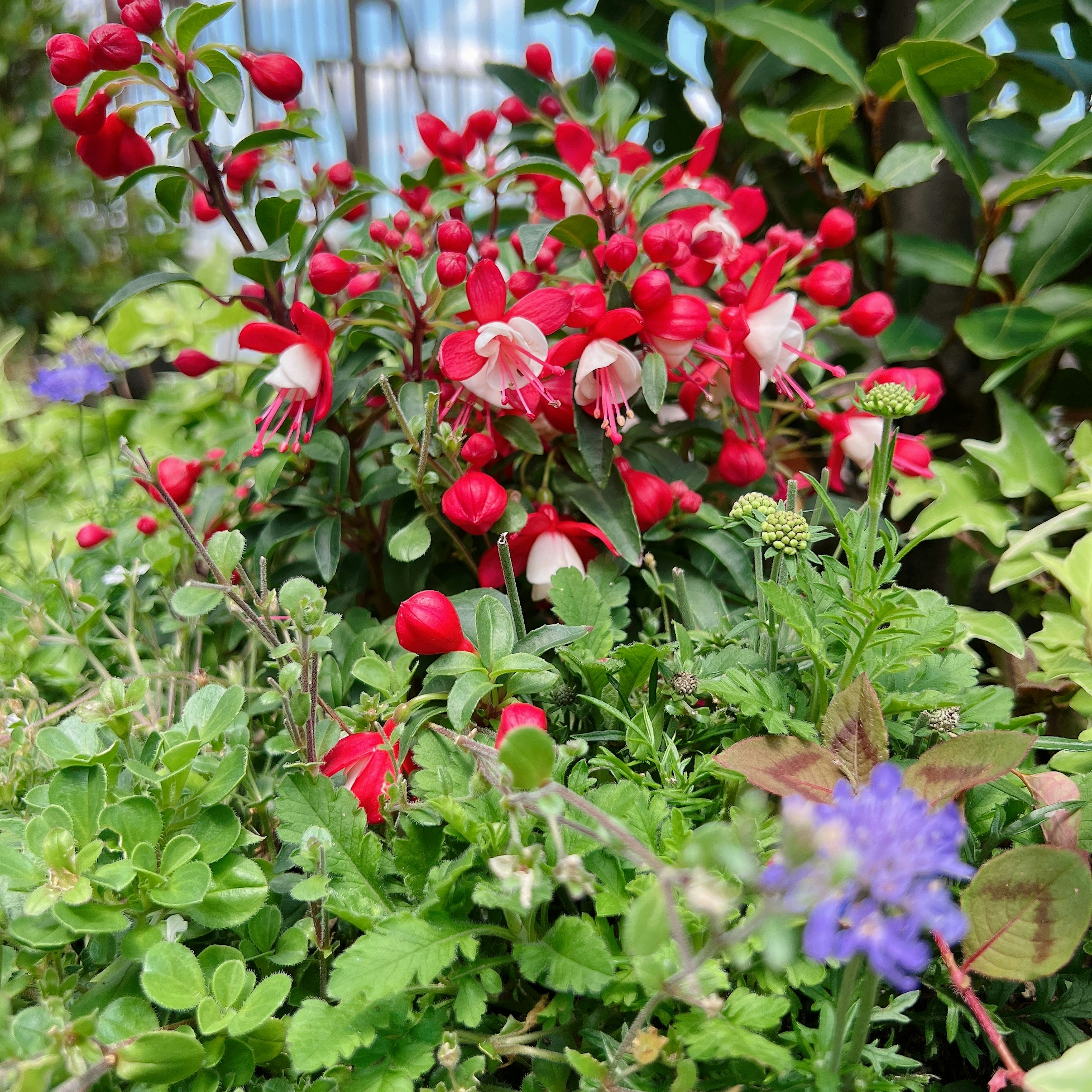 Hermoso arreglo de flores rojas y follaje verde