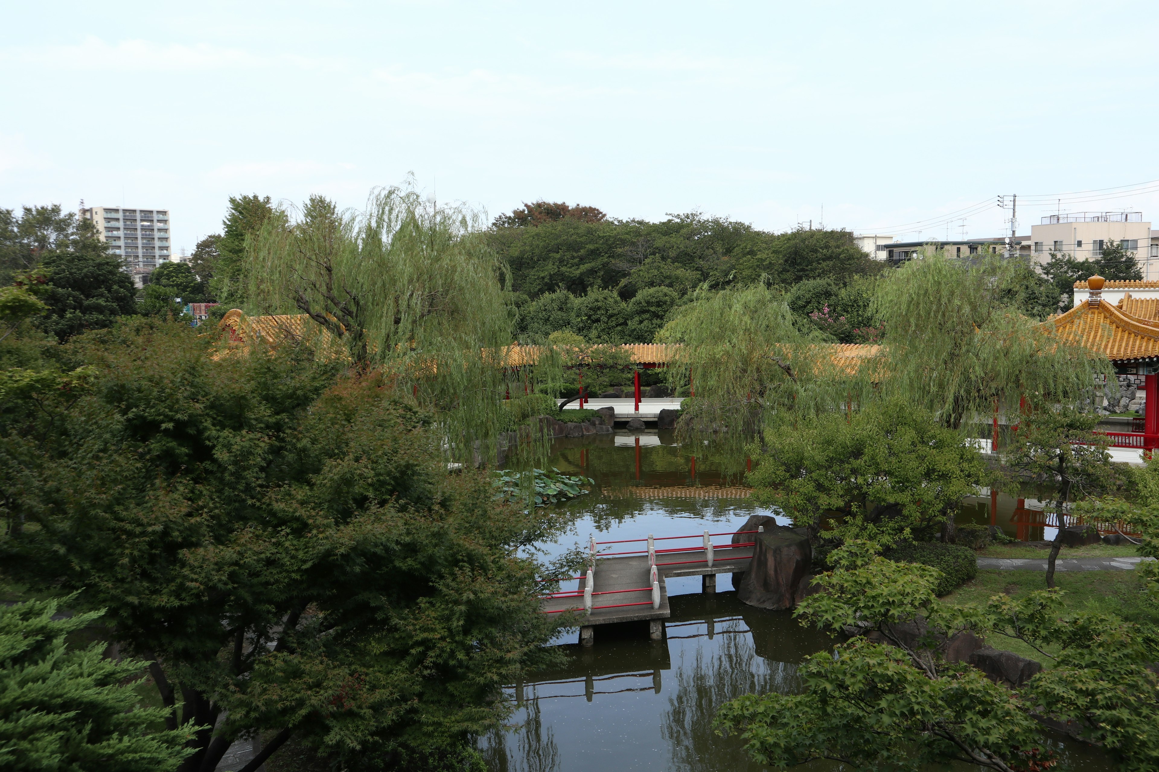 Vue sereine d'un jardin japonais avec une végétation luxuriante et un étang paisible