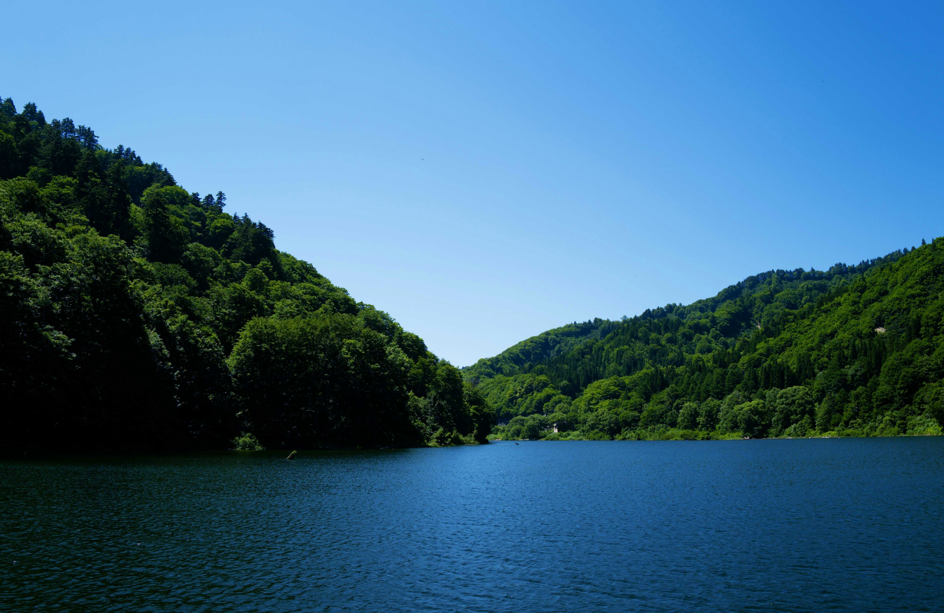 Ein ruhiger See, umgeben von grünen Hügeln unter einem klaren blauen Himmel