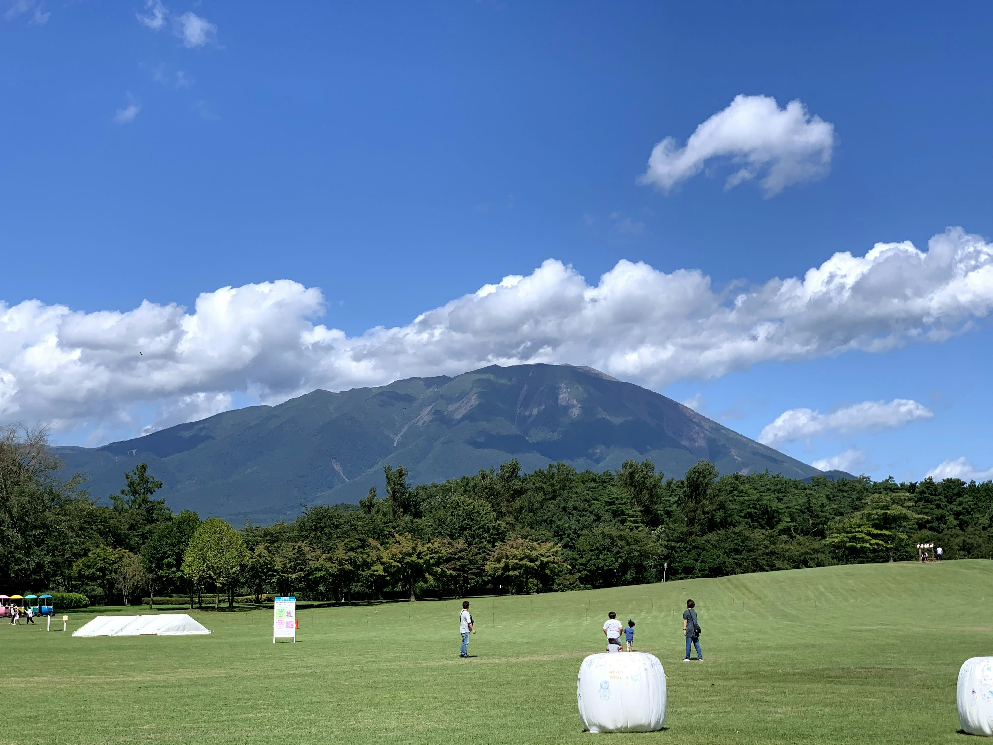 青い空の下に広がる緑の草原と山の風景