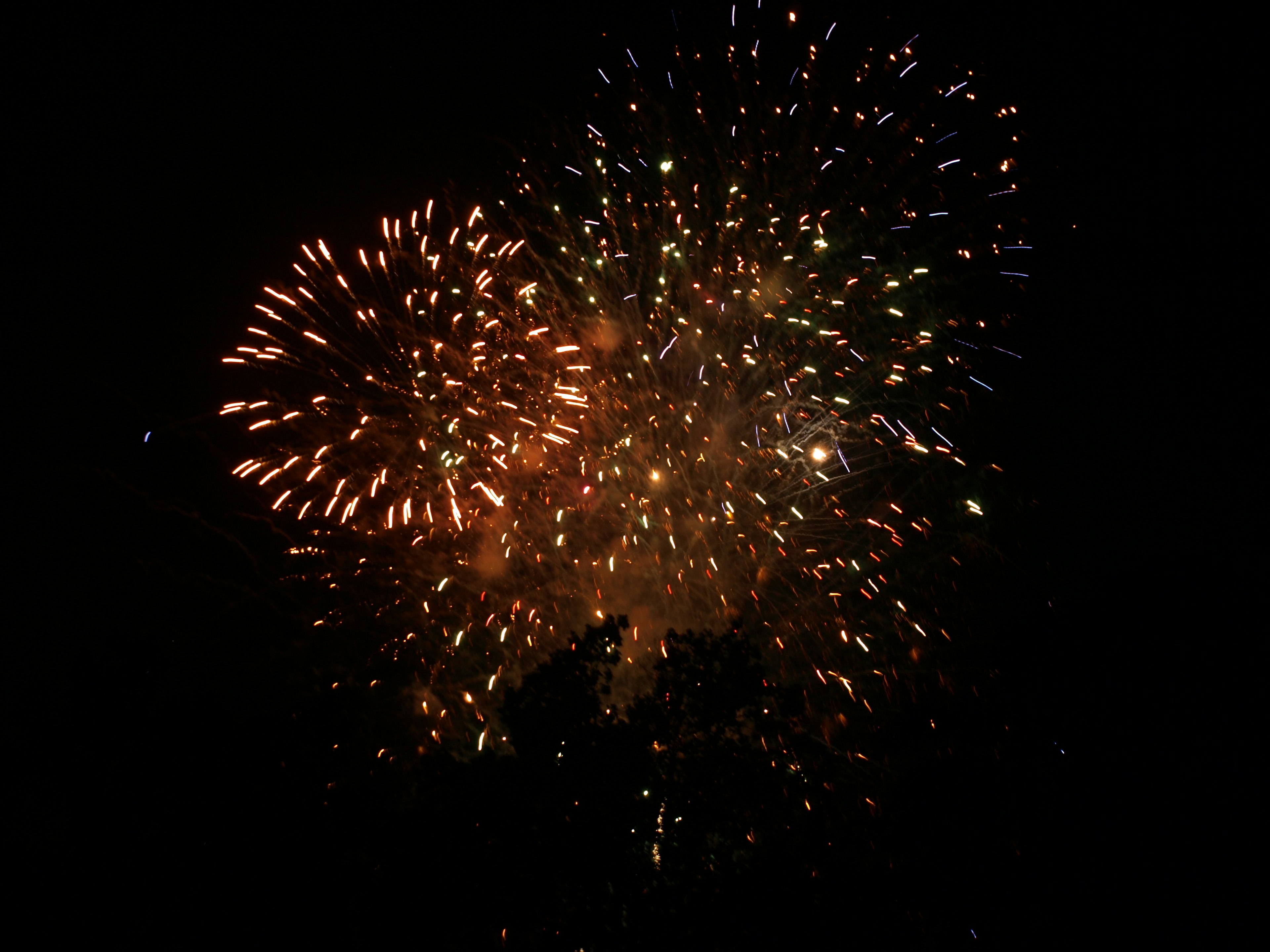 Fuegos artificiales vibrantes estallando en el cielo nocturno