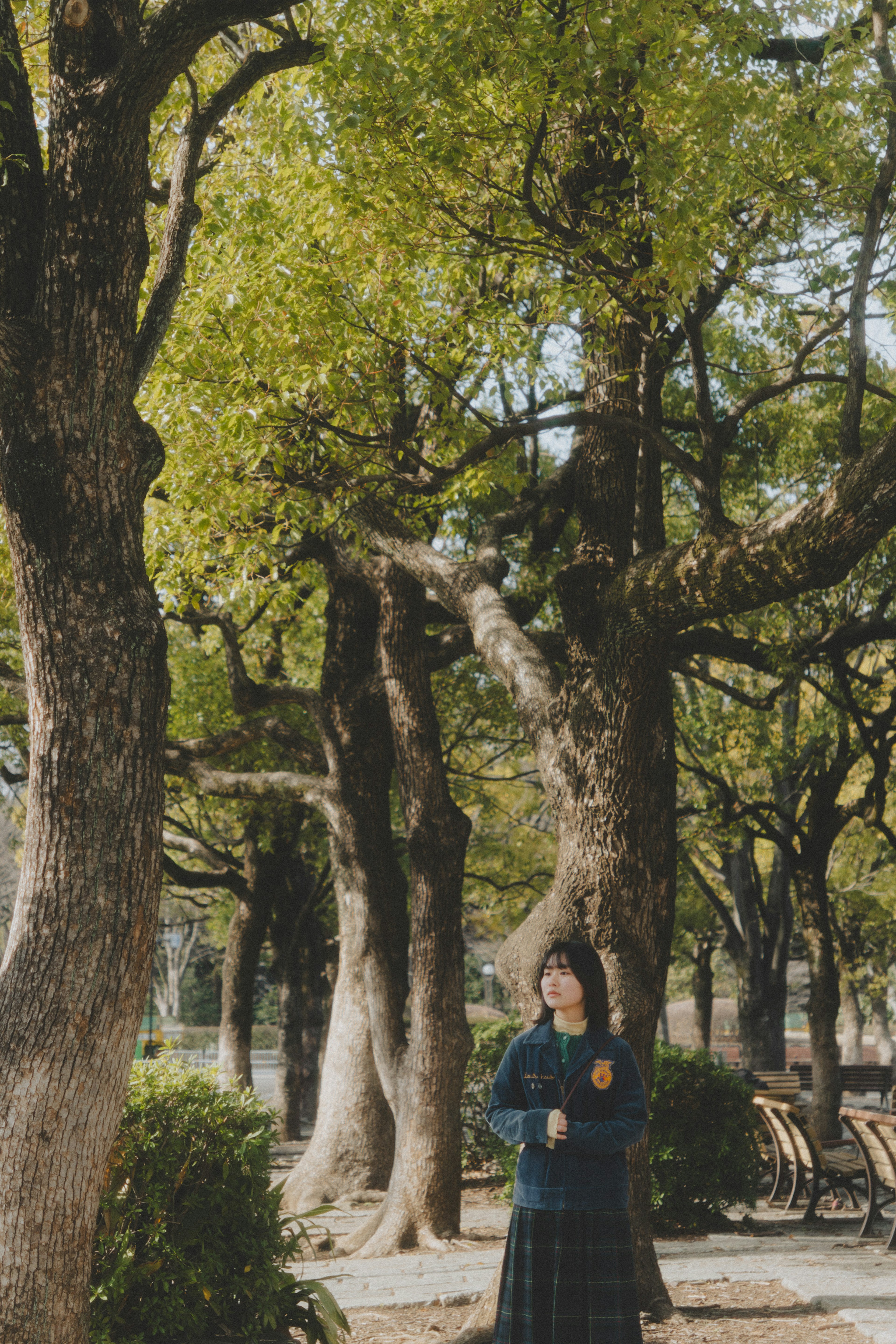 公園の緑豊かな木々の間に立つ女子学生の姿