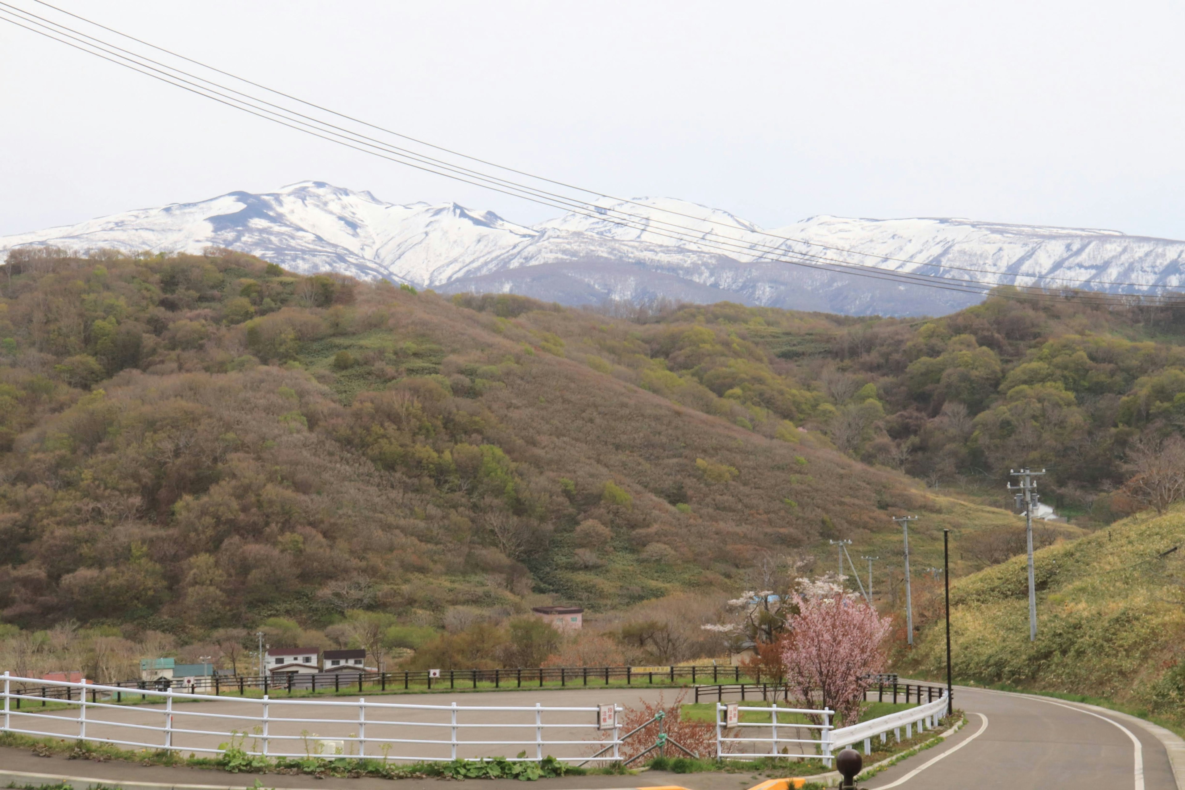 雪の山々と緑の丘が広がる風景の道路