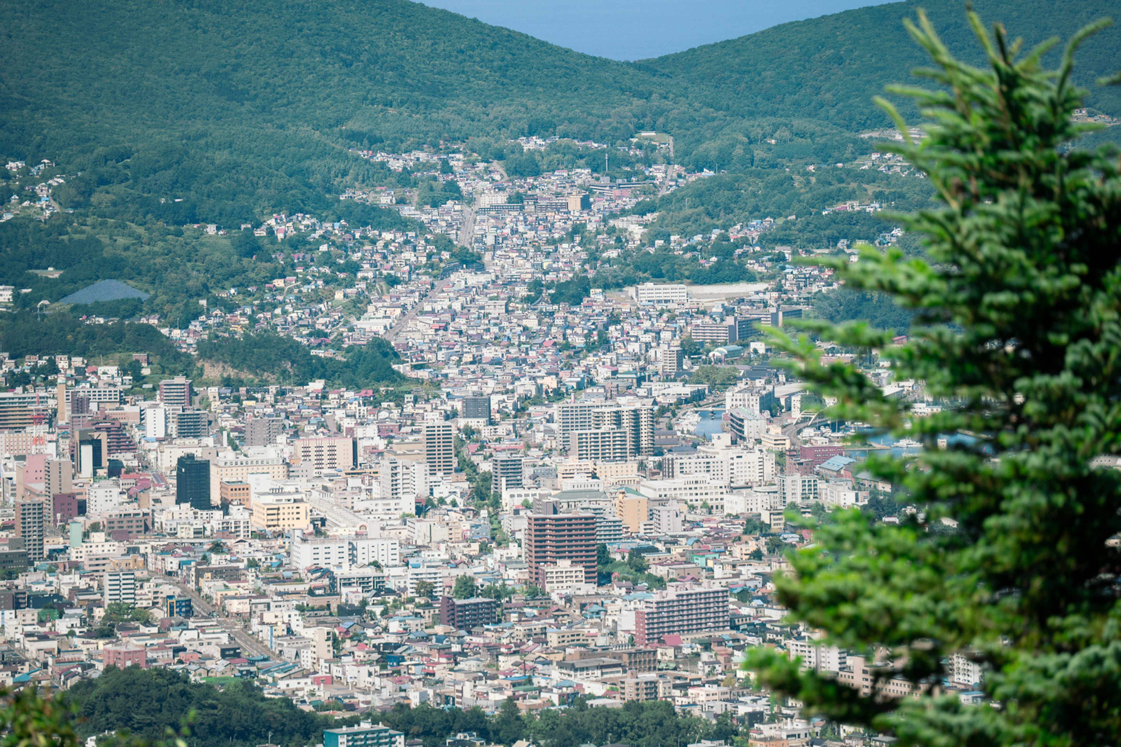 Panoramic view of a city with mountains in the background