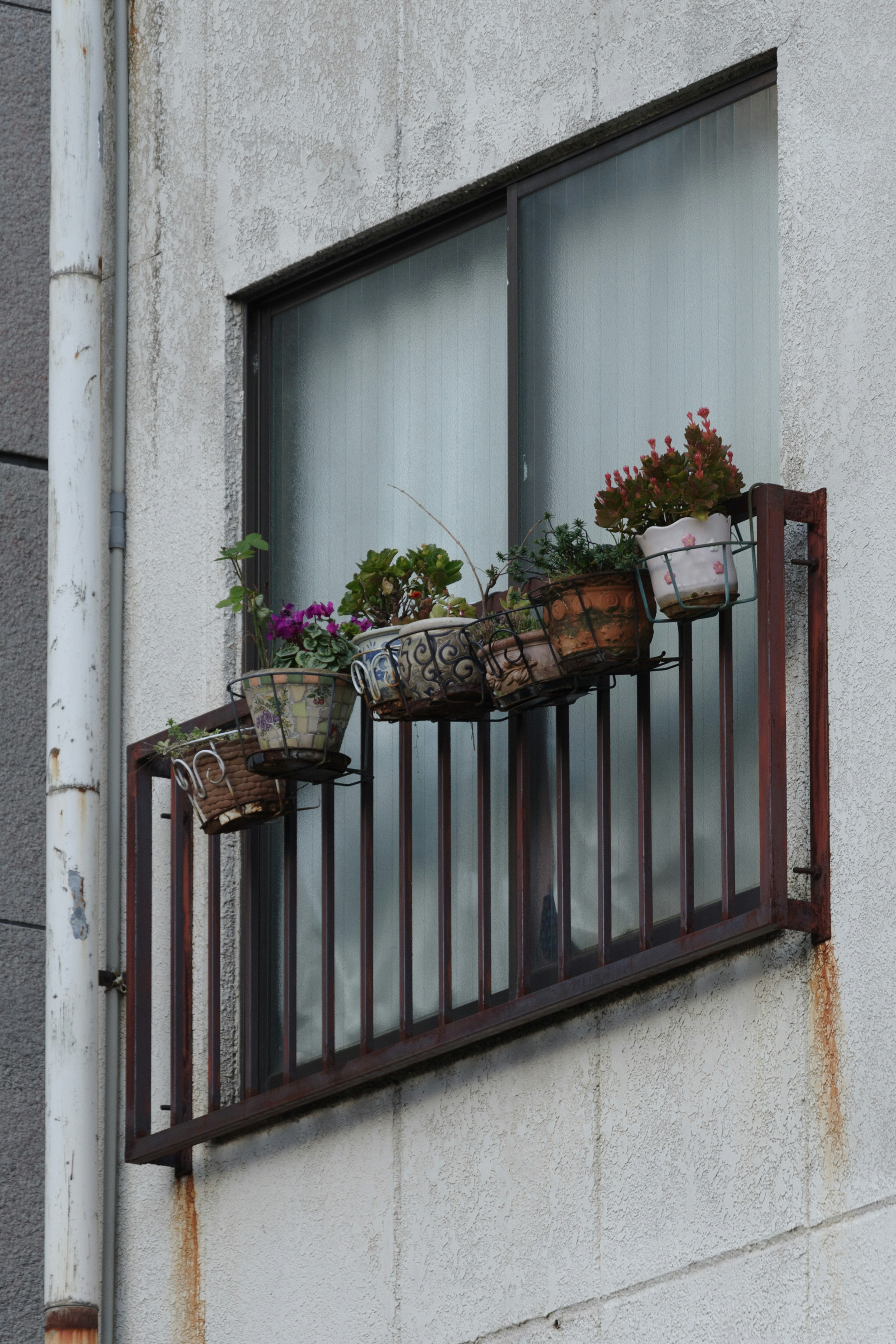 Balcón con macetas llenas de plantas frente a una ventana