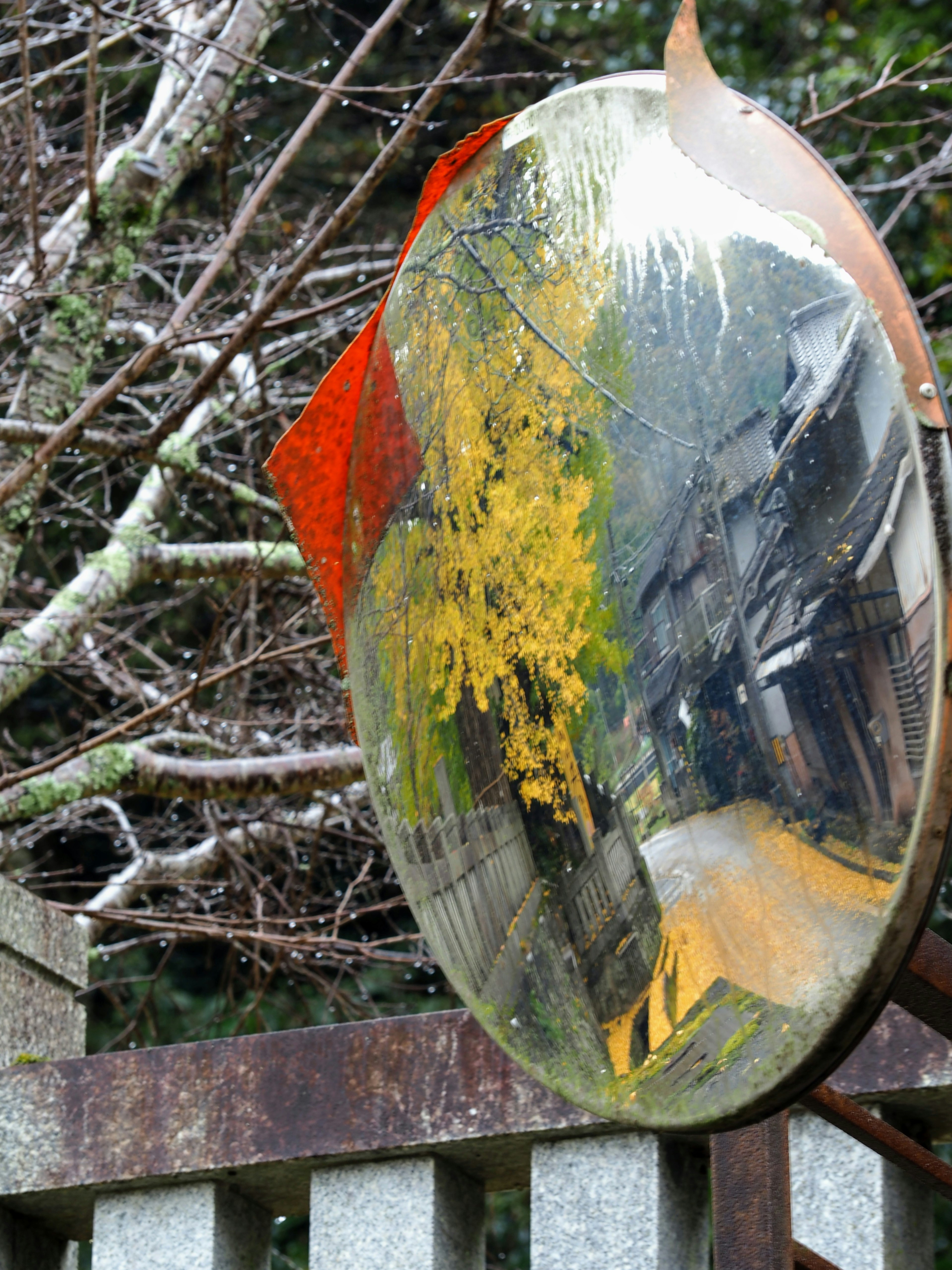 Round mirror reflecting autumn scenery with trees