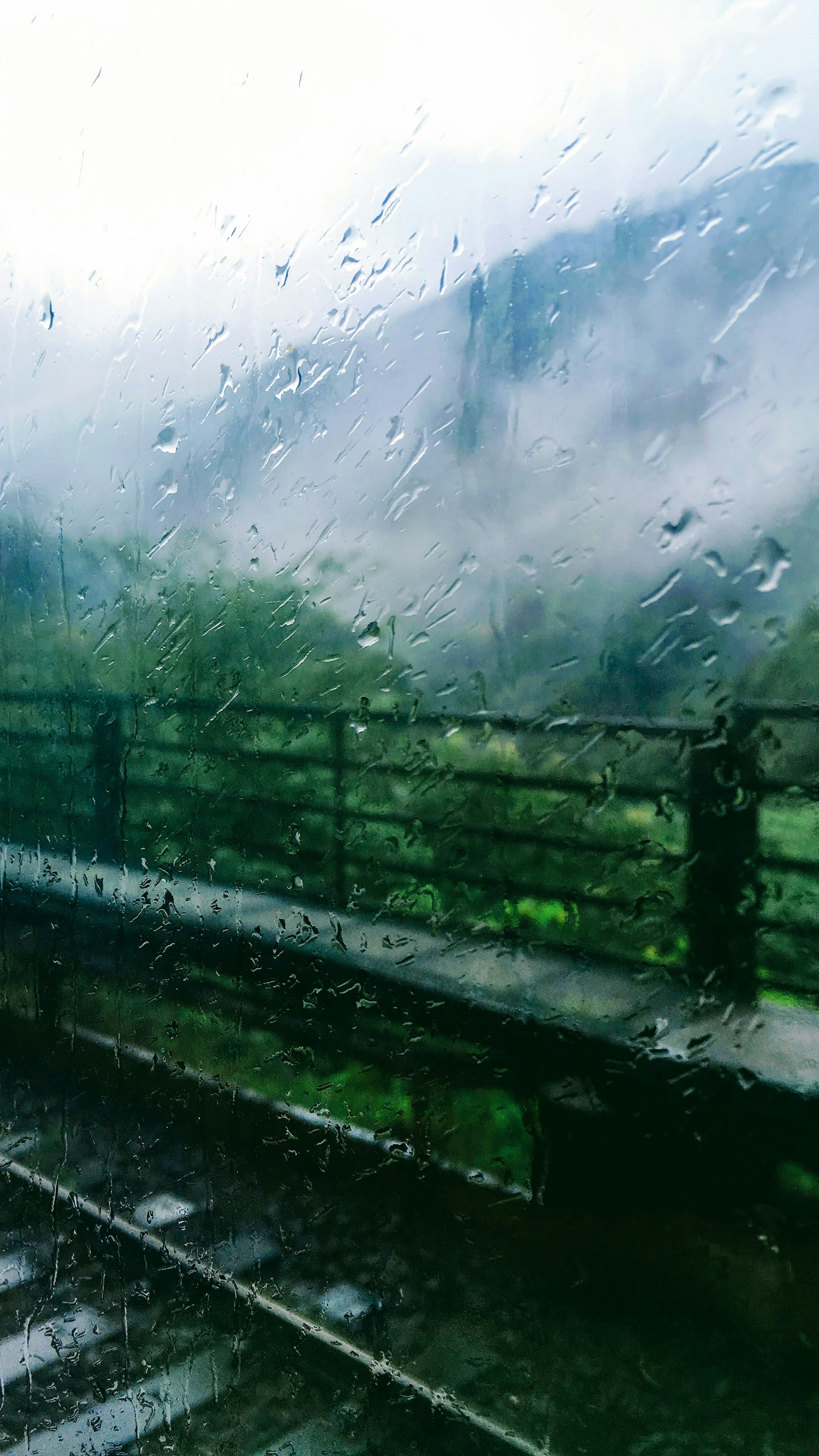 View of lush greenery and mist through a rain-speckled window