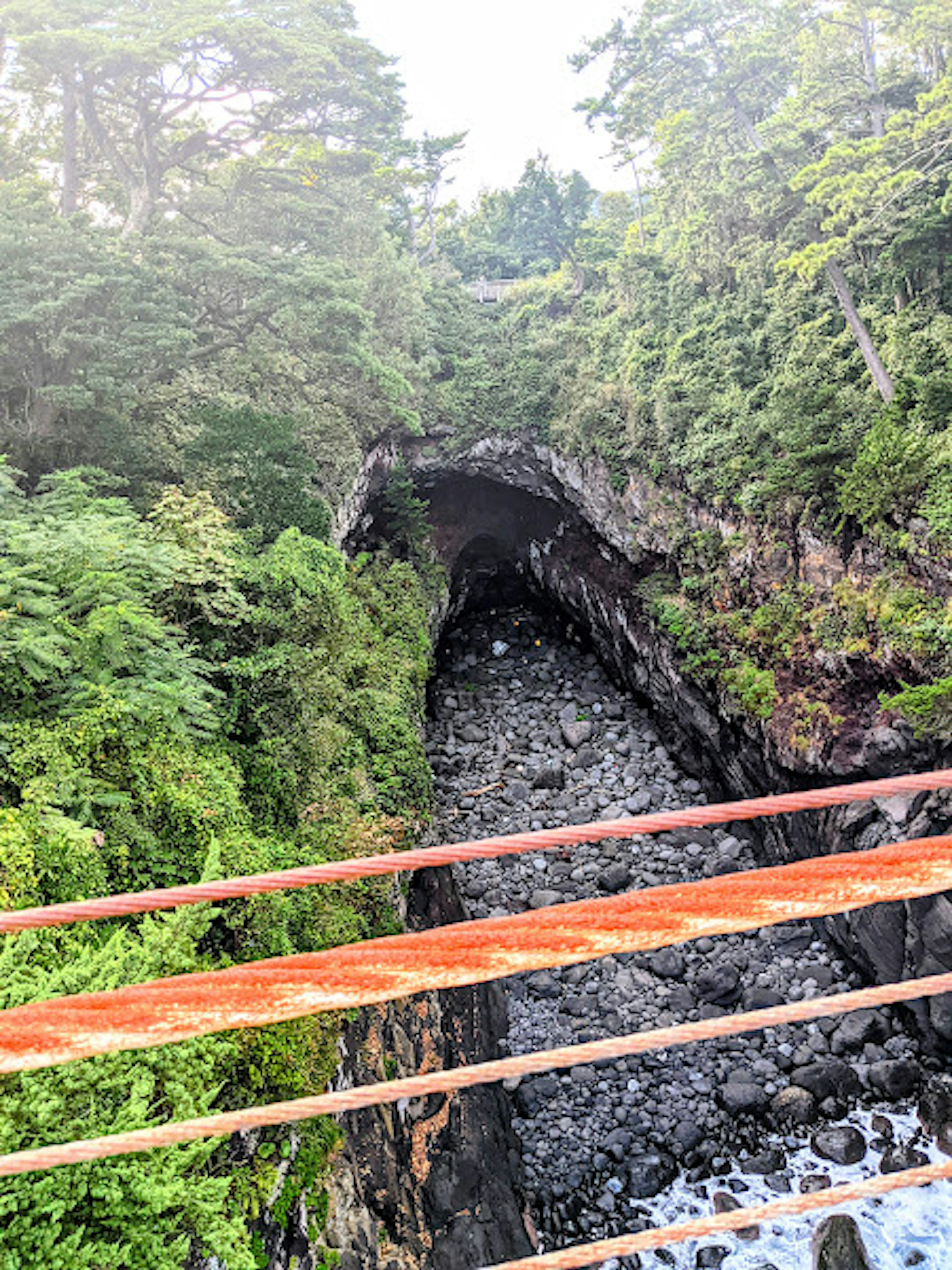 緑豊かな森に囲まれた渓谷の風景 橋の上から見た岩と水の流れ