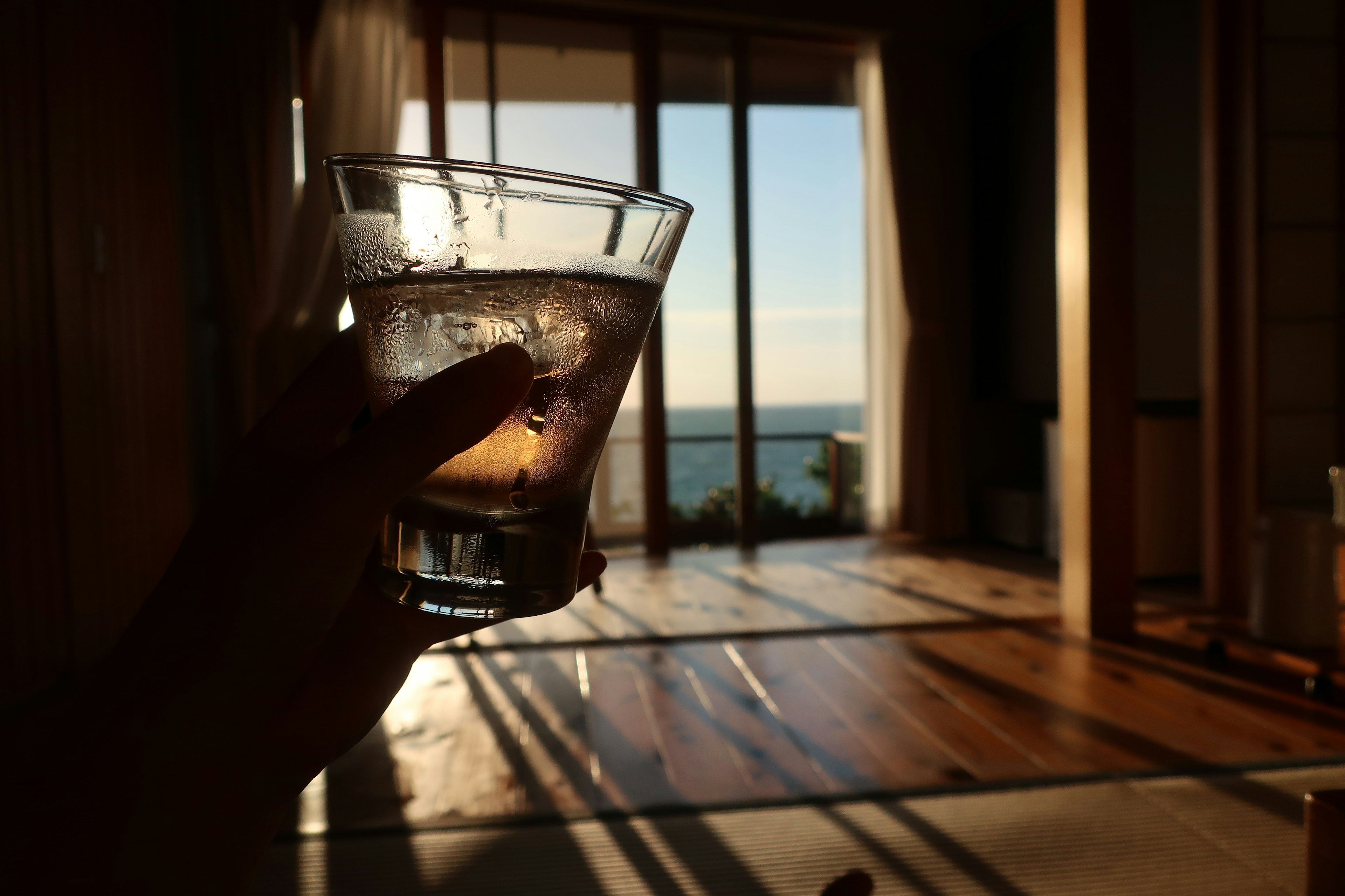 Silhouette of a hand holding a drink with sunset and ocean view in the background