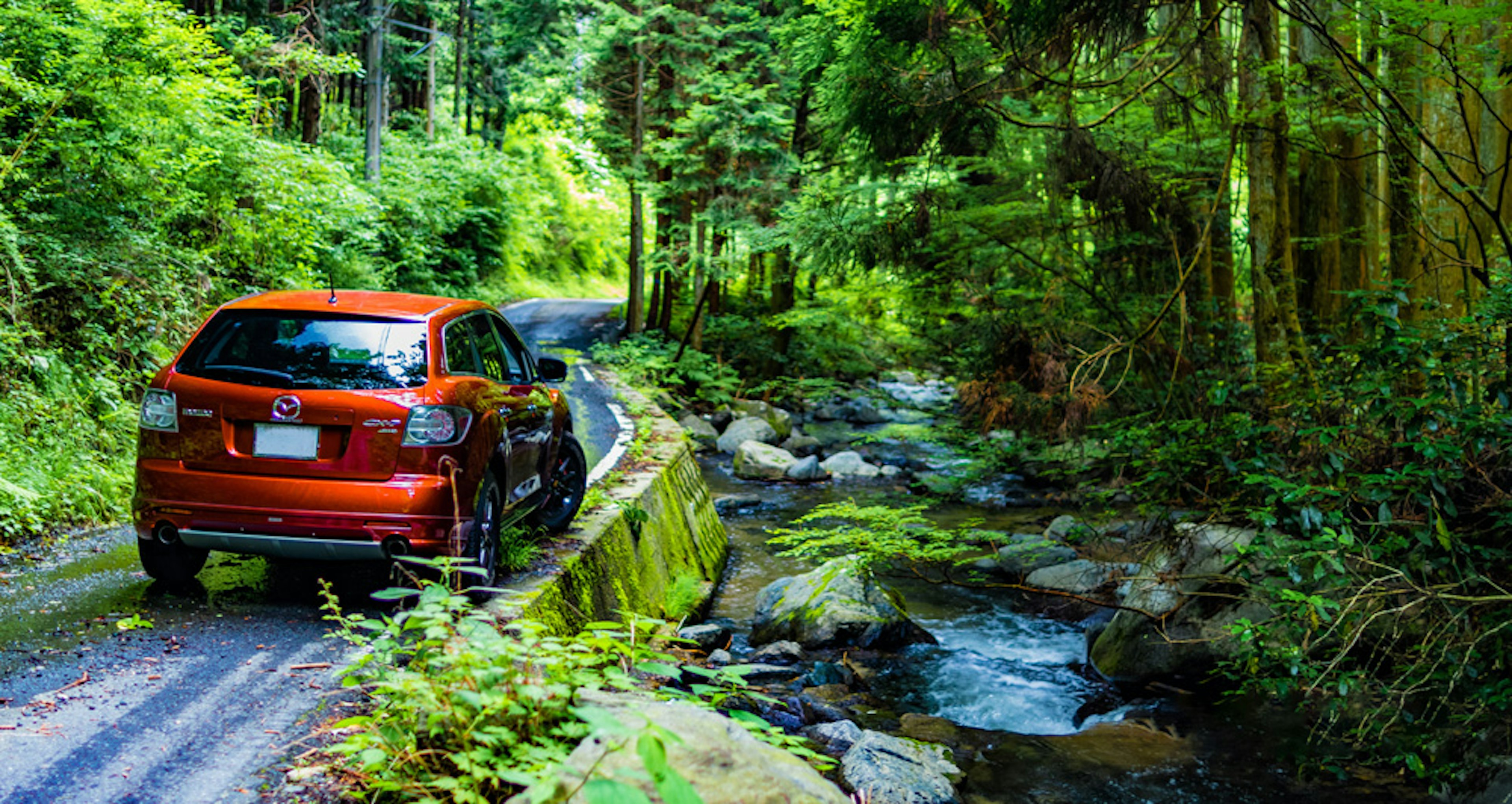 Voiture rouge garée à côté d'un ruisseau entouré d'une forêt verdoyante