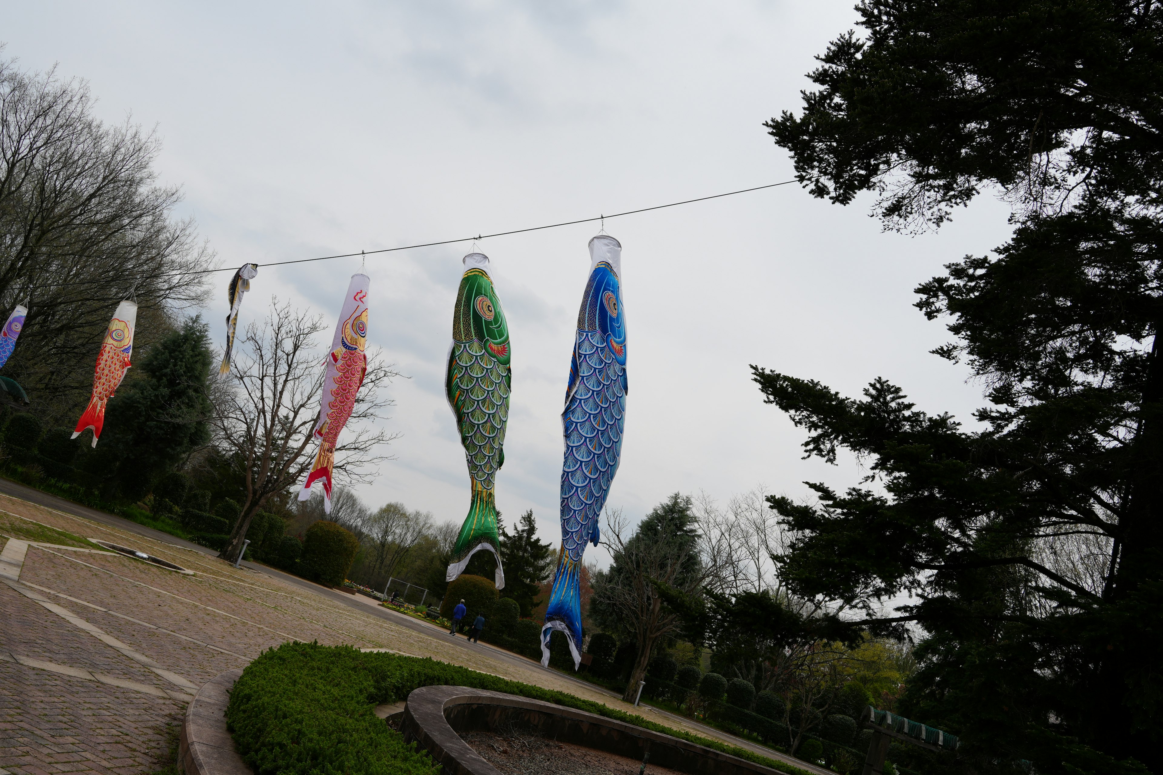 Bunte Fischbanner hängen in einem Park und wehen im Wind