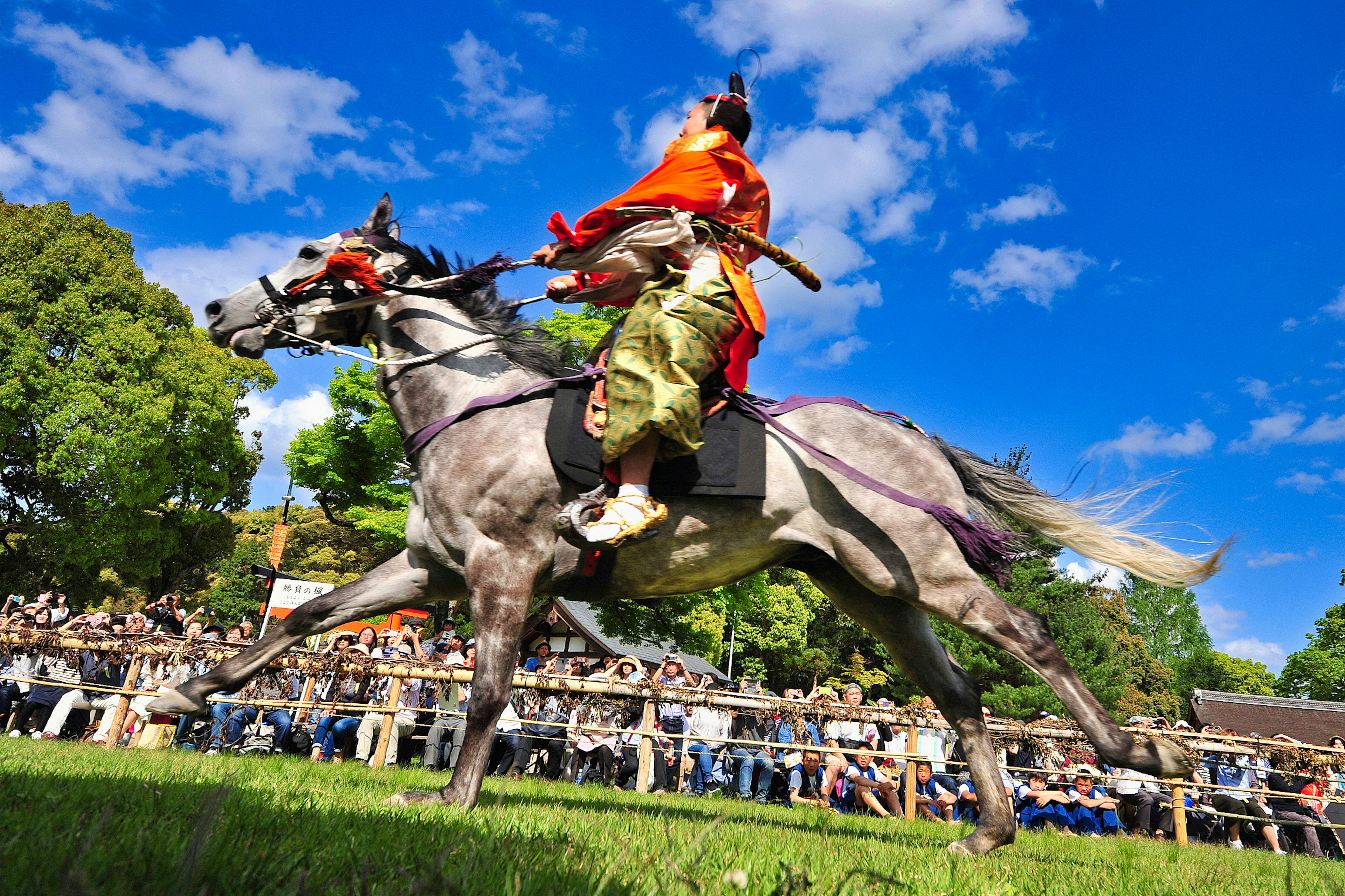 Jockeys, die während einer Veranstaltung auf Pferden reiten, mit blauem Himmel und Zuschauern im Hintergrund