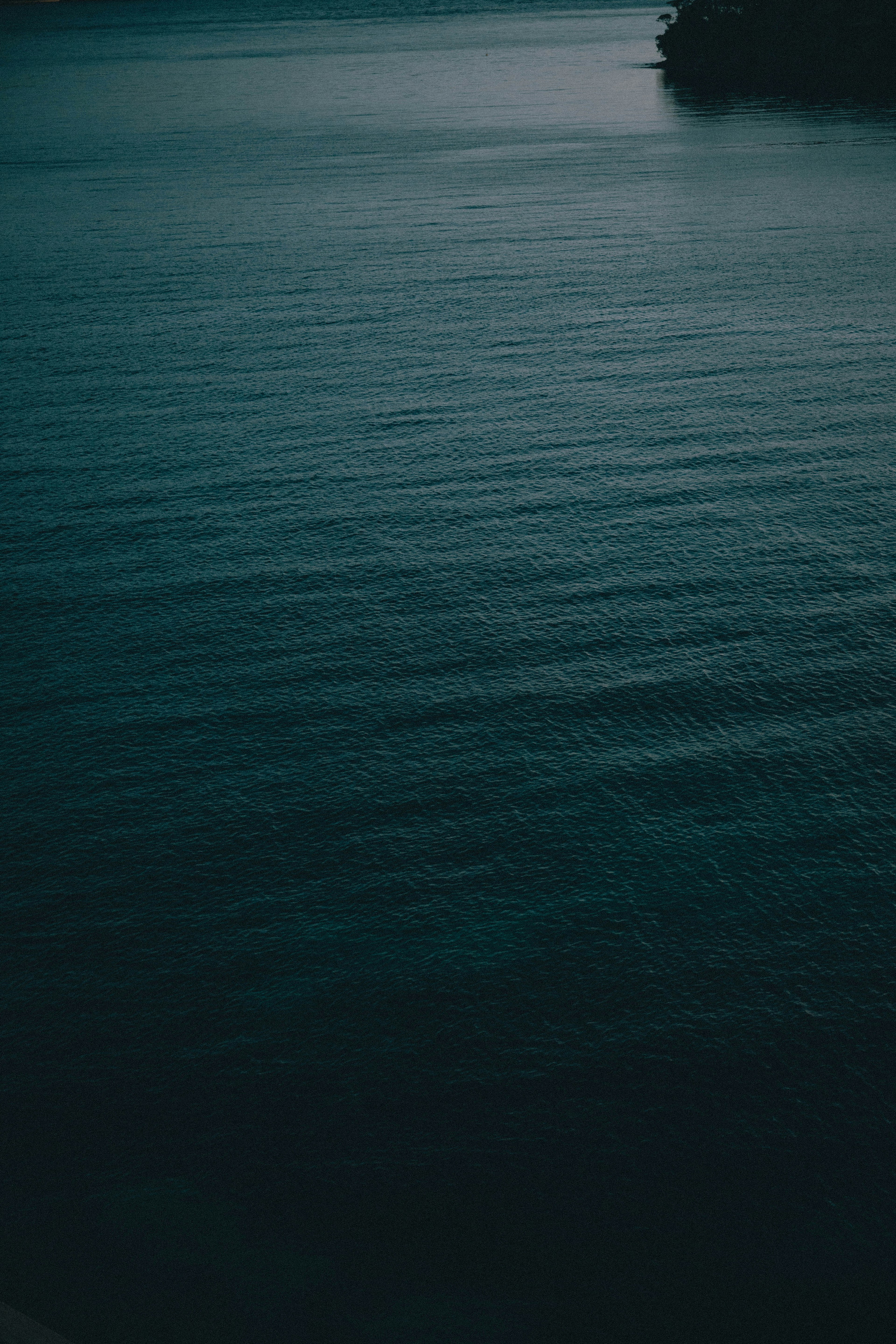 Calm water surface reflecting soft light and dark hues of the sea