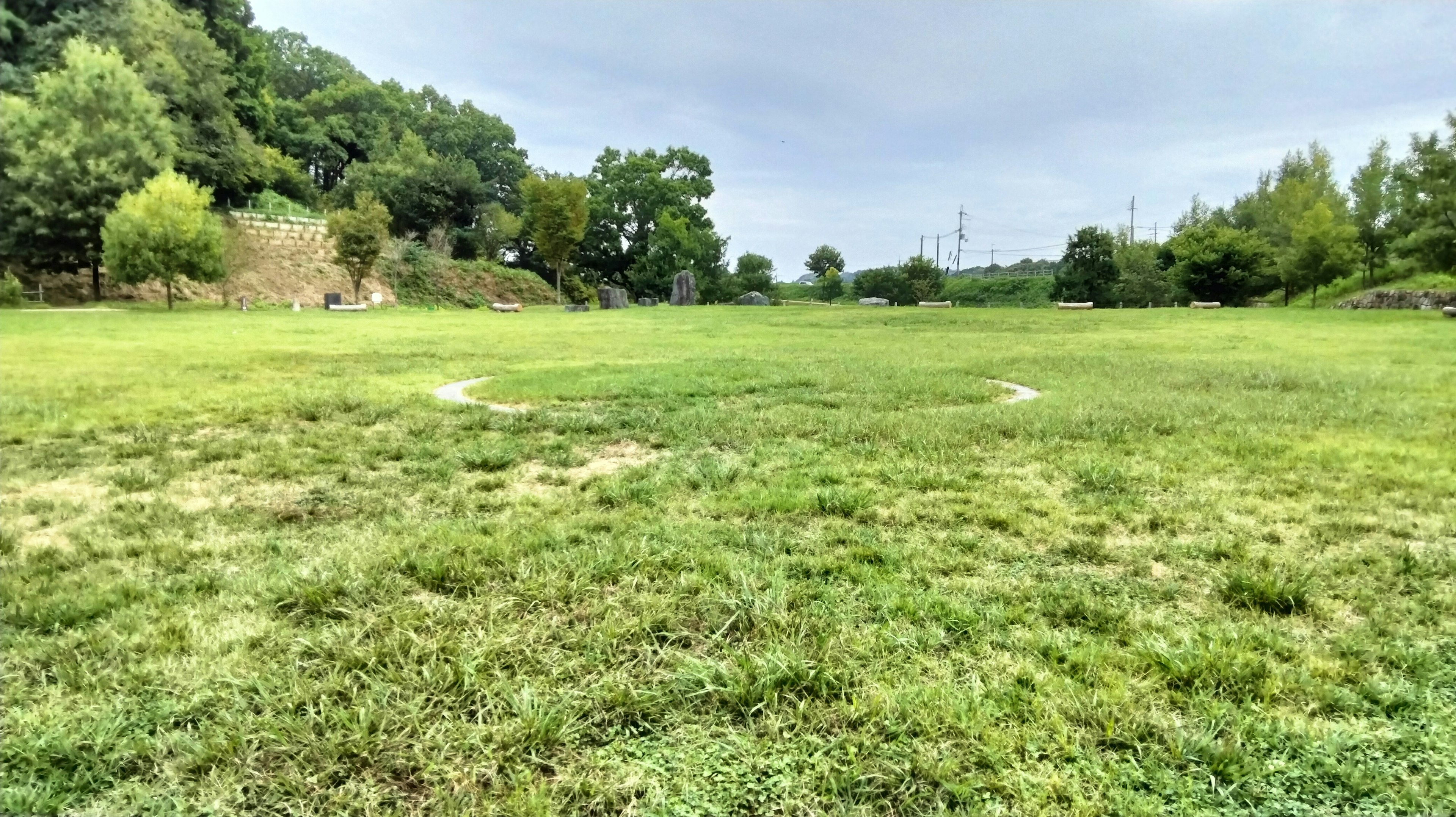 Campo erboso aperto con alberi sullo sfondo