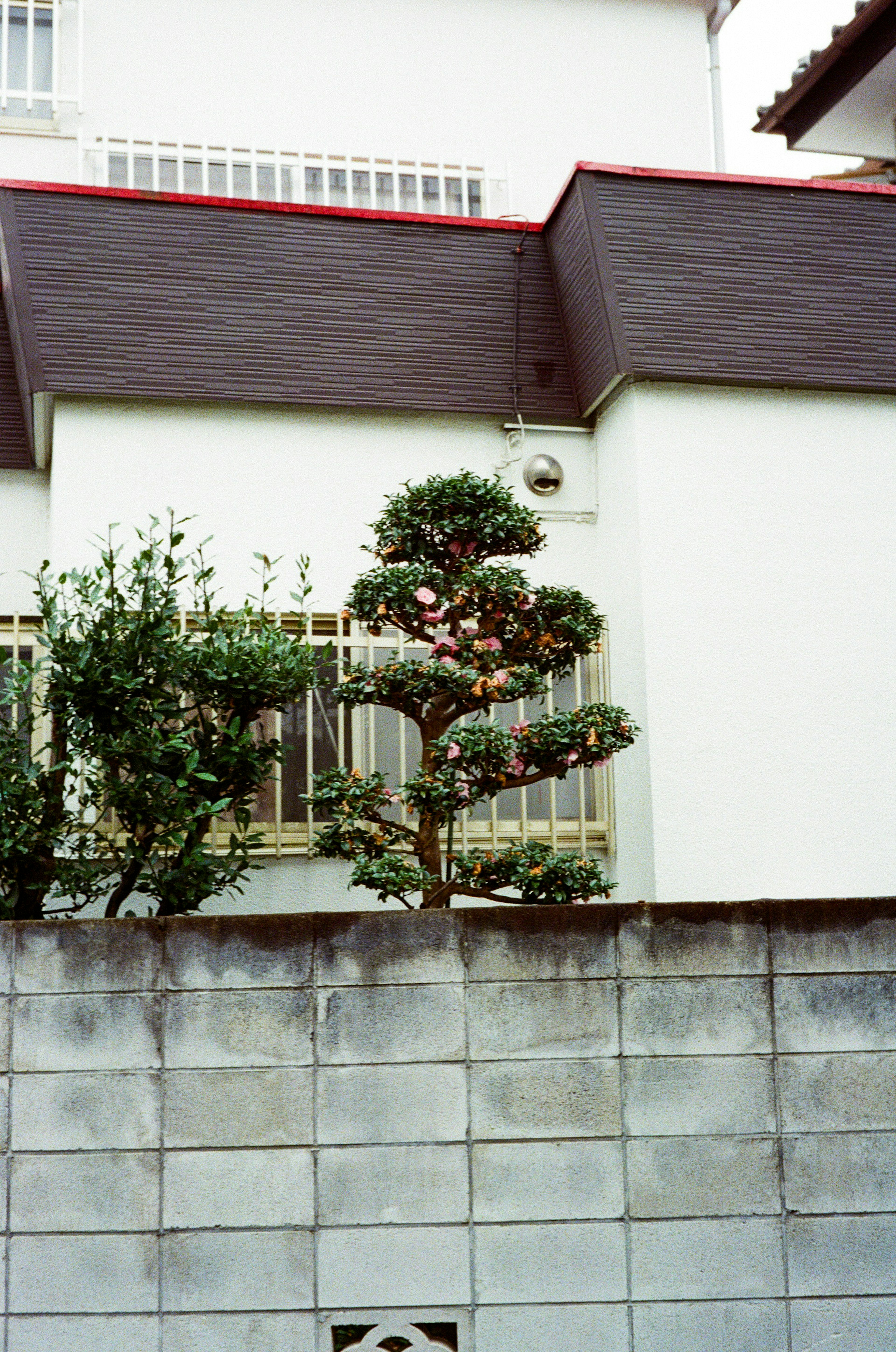 Imagen que muestra parte de una casa con pared blanca y techo rojo, con vegetación en el jardín