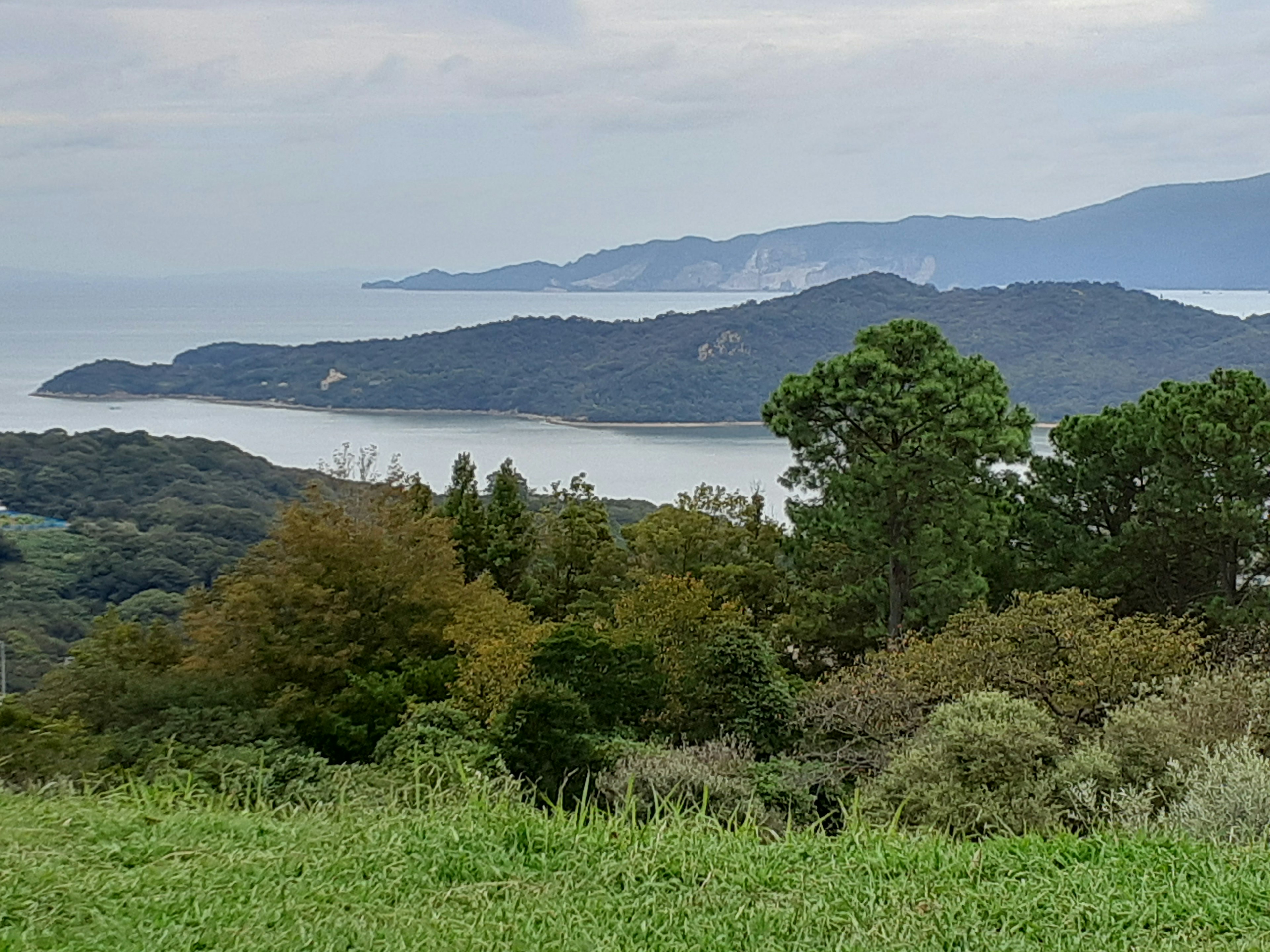 Vista escénica de una costa con vegetación exuberante y colinas